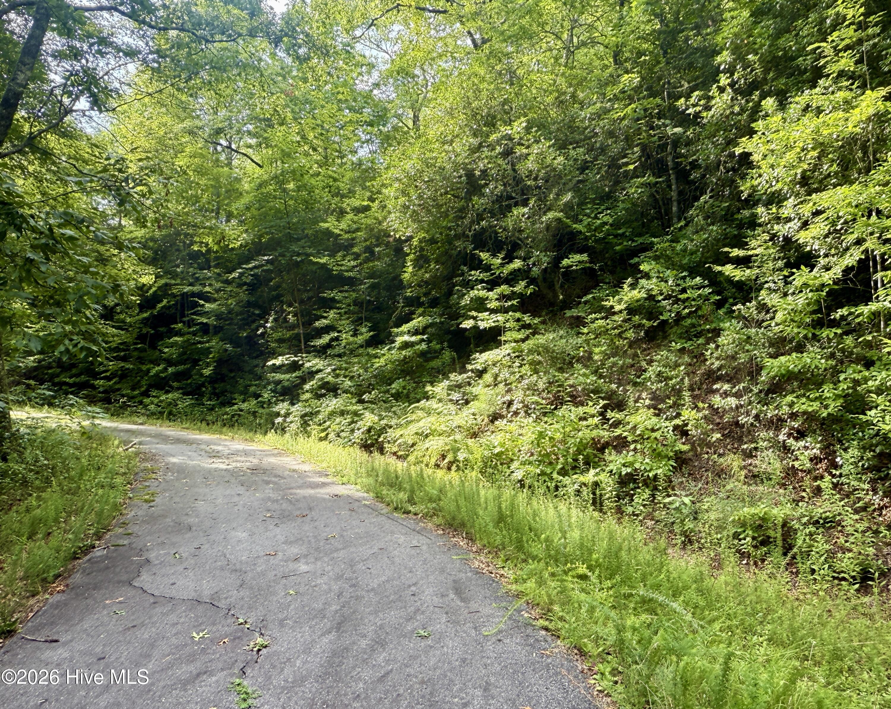 5th image of Lot 6&11 Big Choga Rd, Topton, NC 28781 | MLS# 100598246