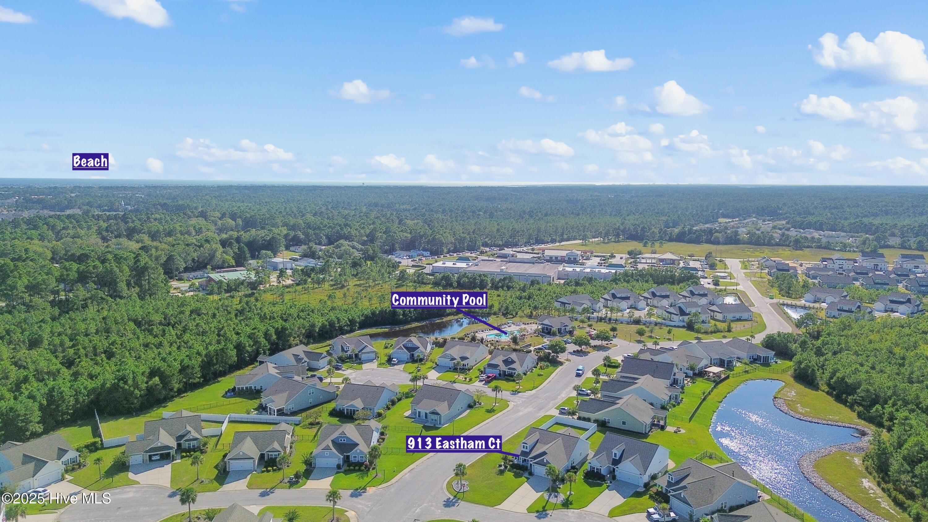 100535031 | Photo 45