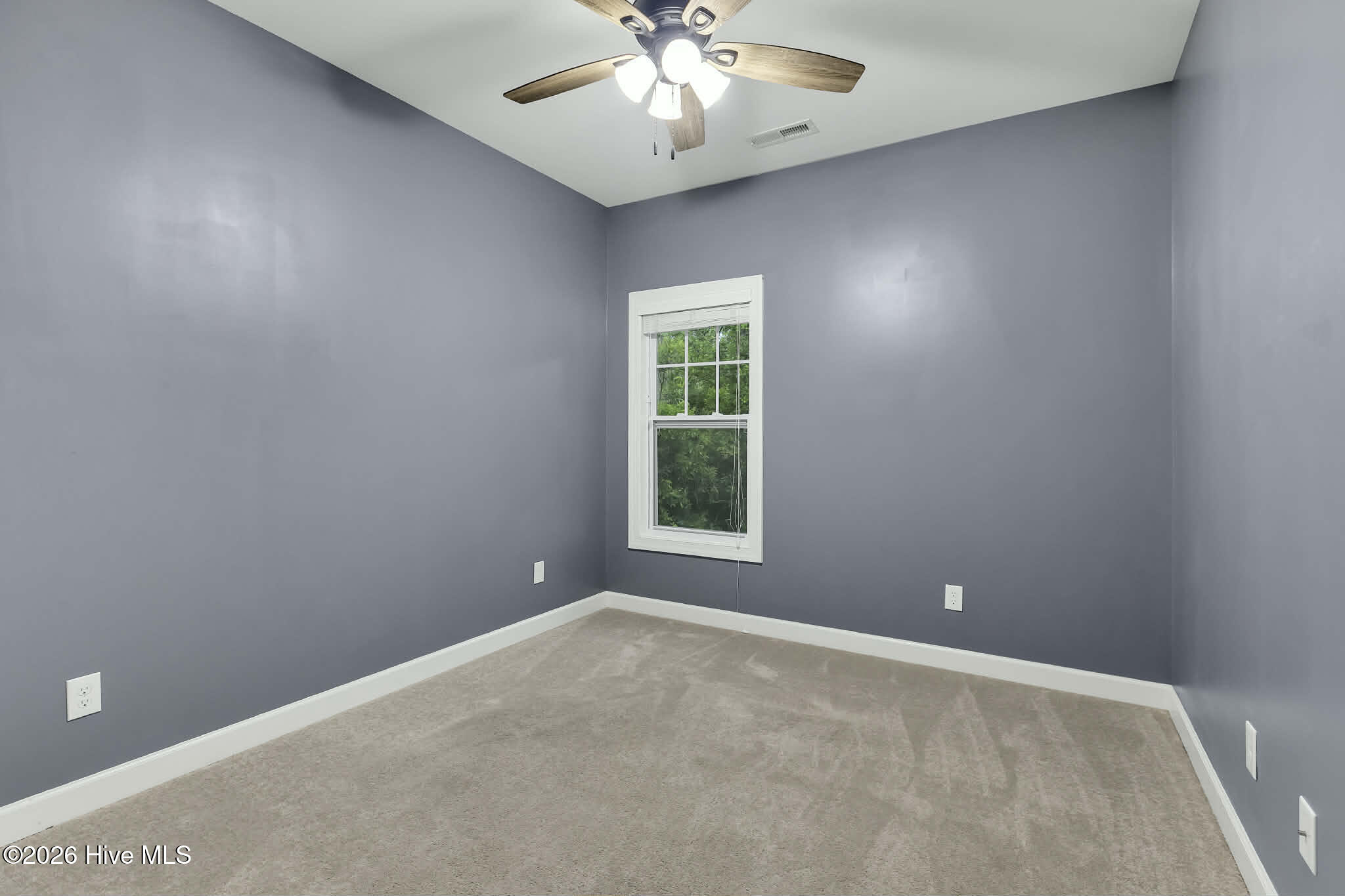 100561809 | Photo 16