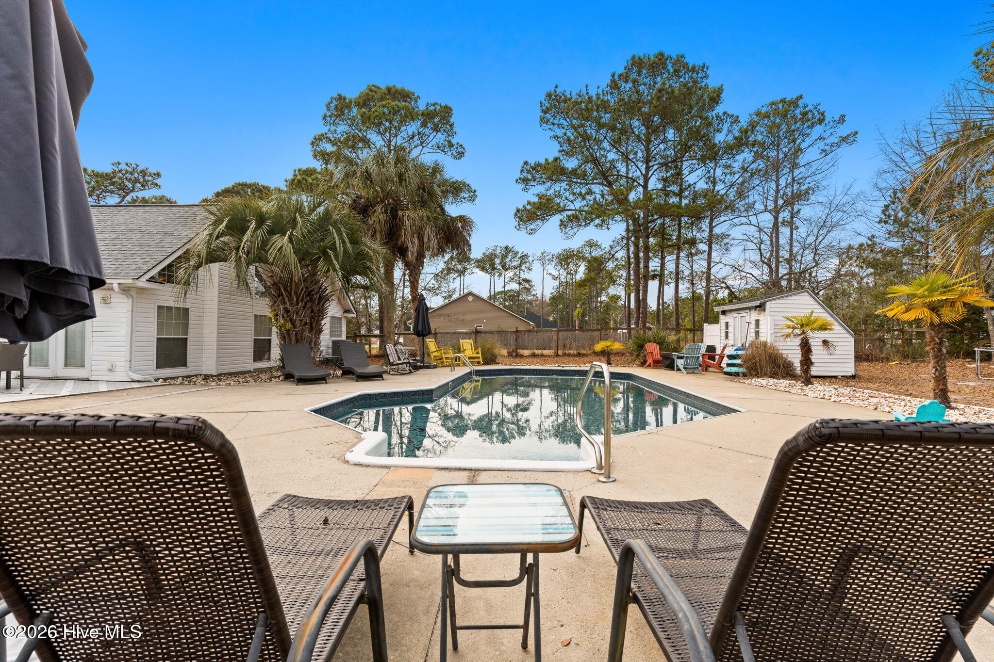 100556346 | Photo 27