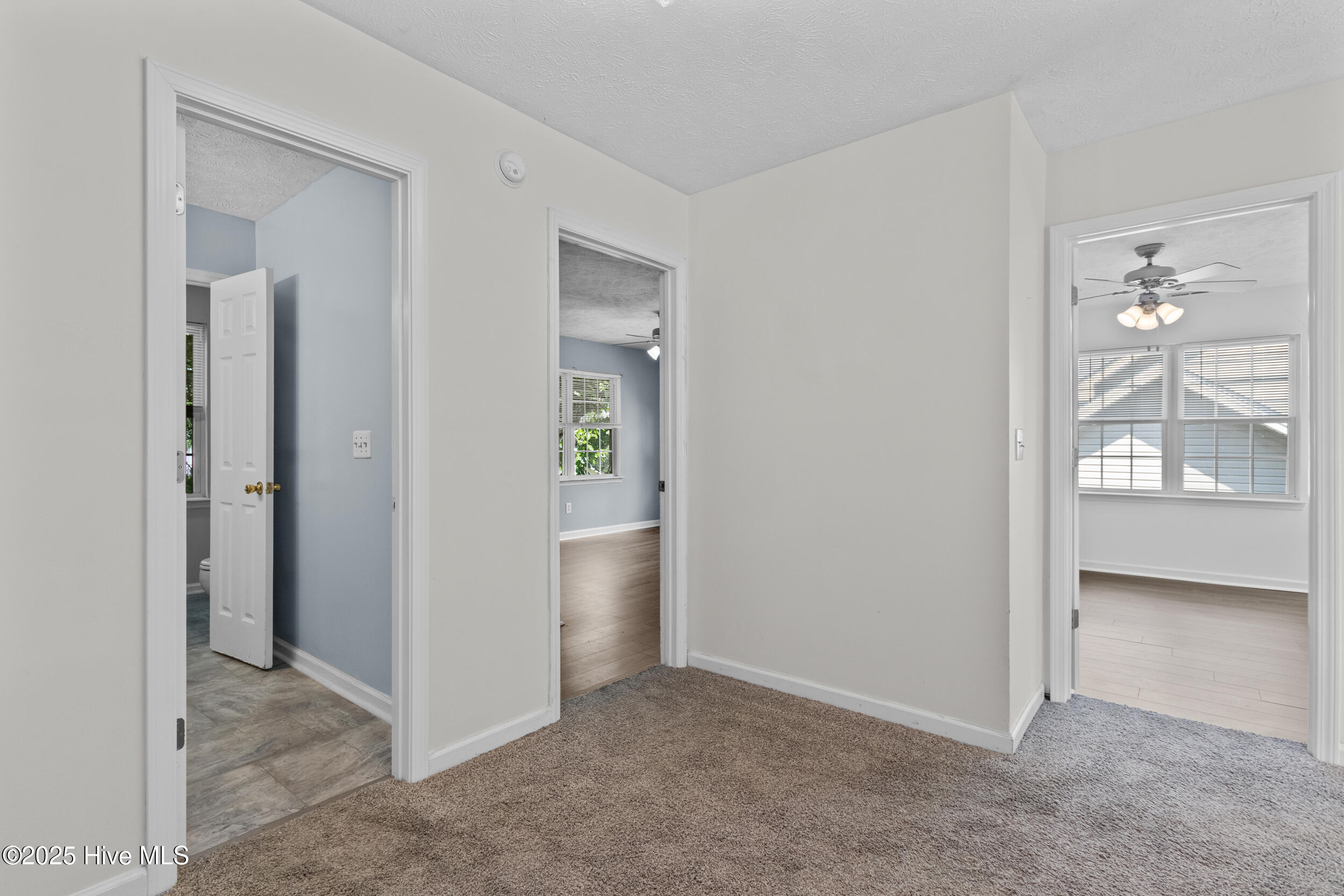 100531865 | Photo 22