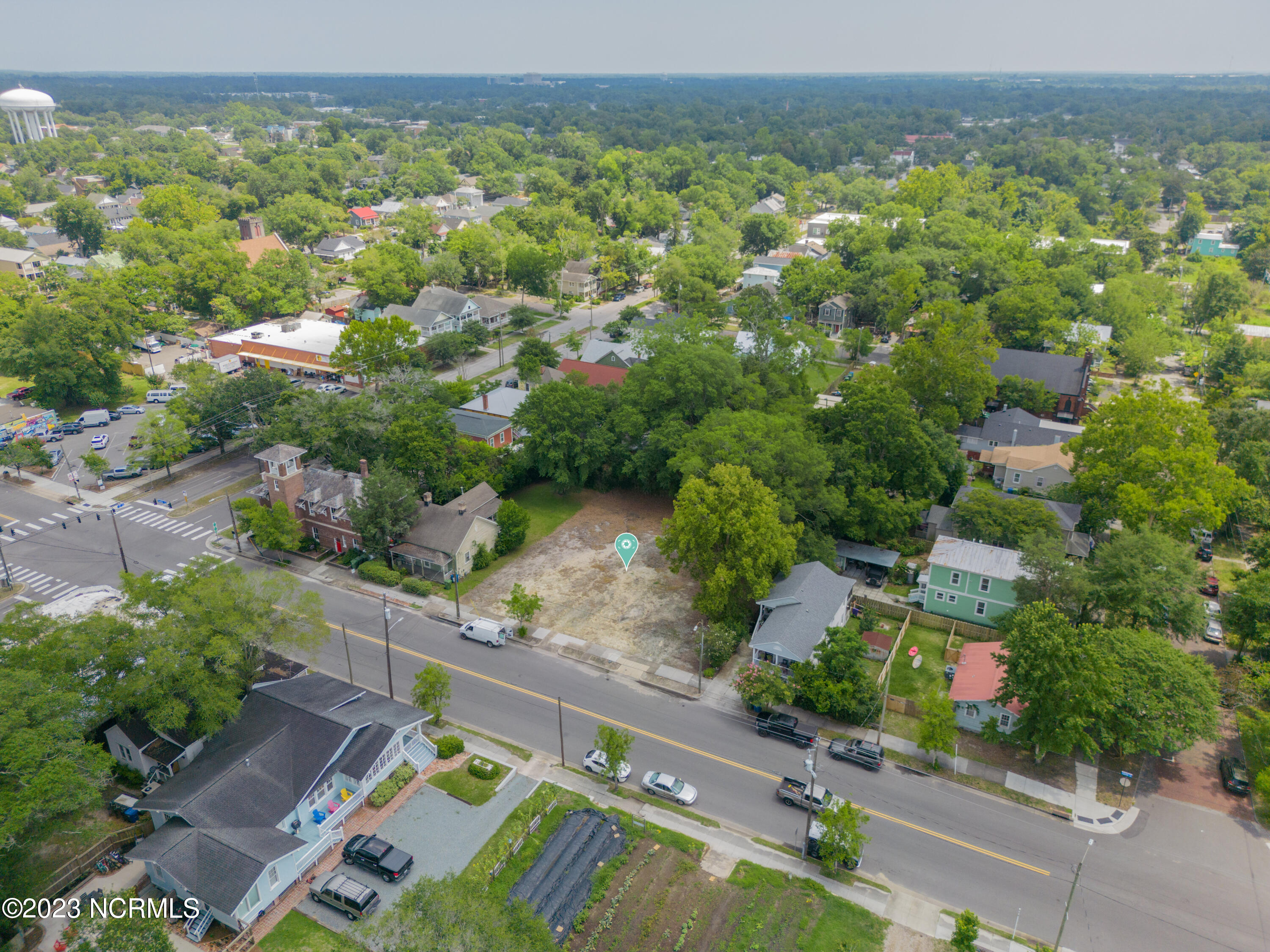 100613488 | Photo 3