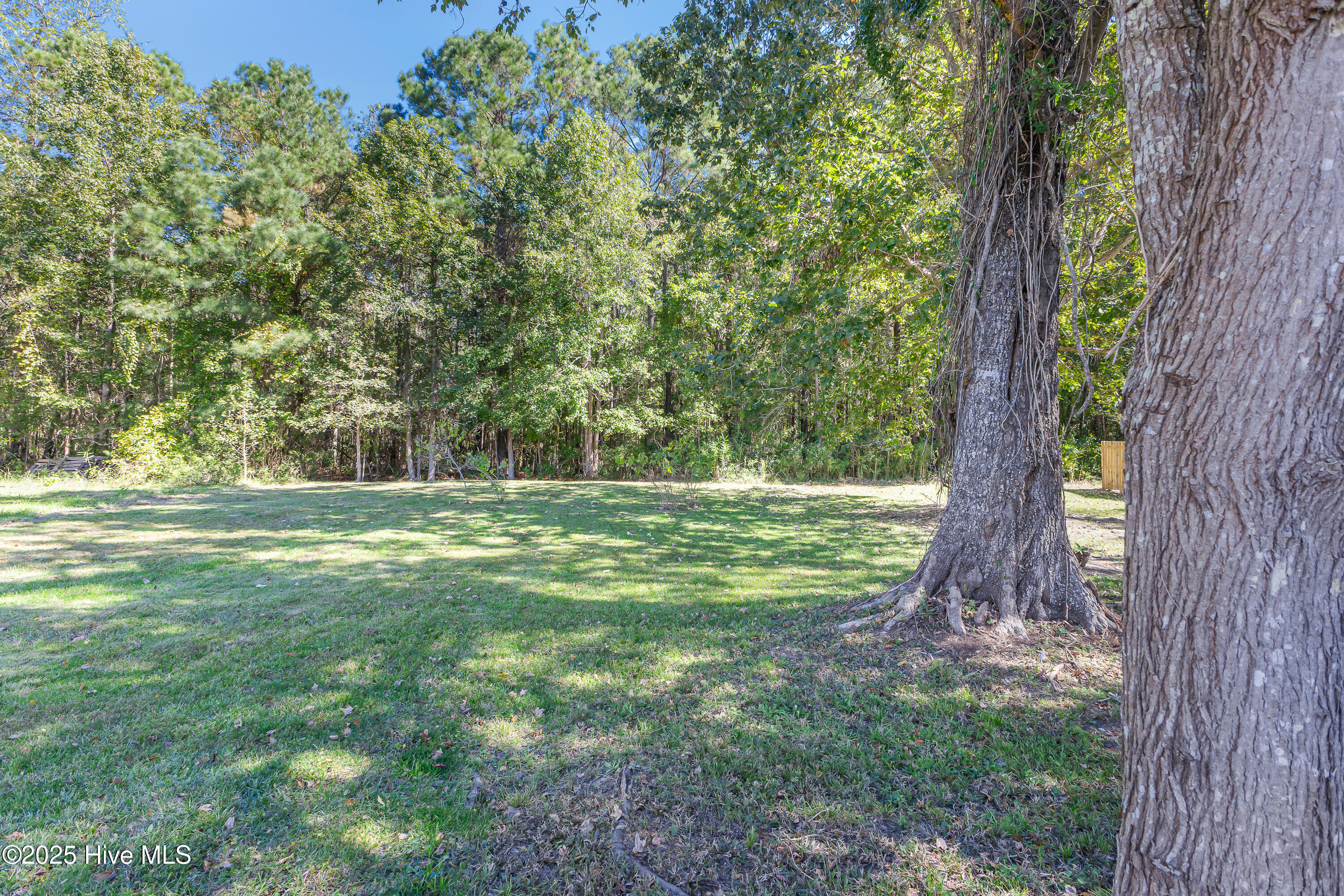 100537906 | Photo 31