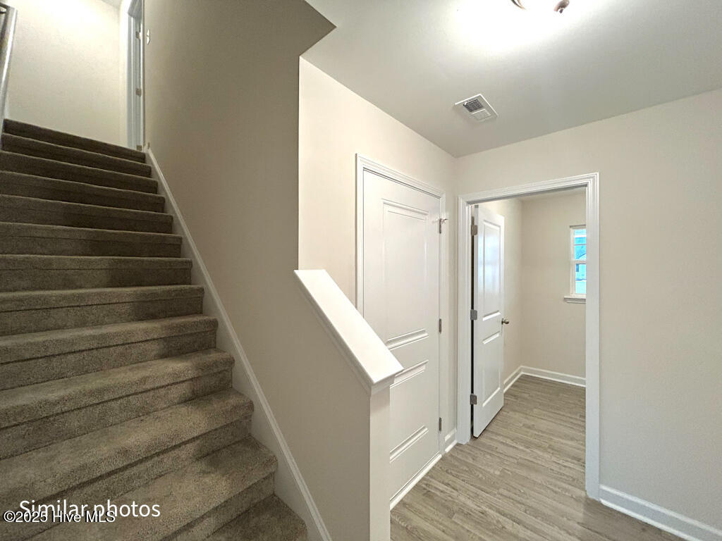 100508196 | Photo 46