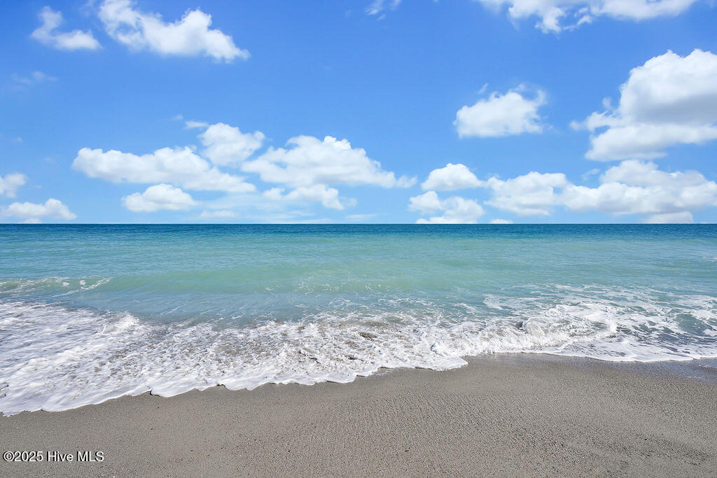 100556360 | Photo 80