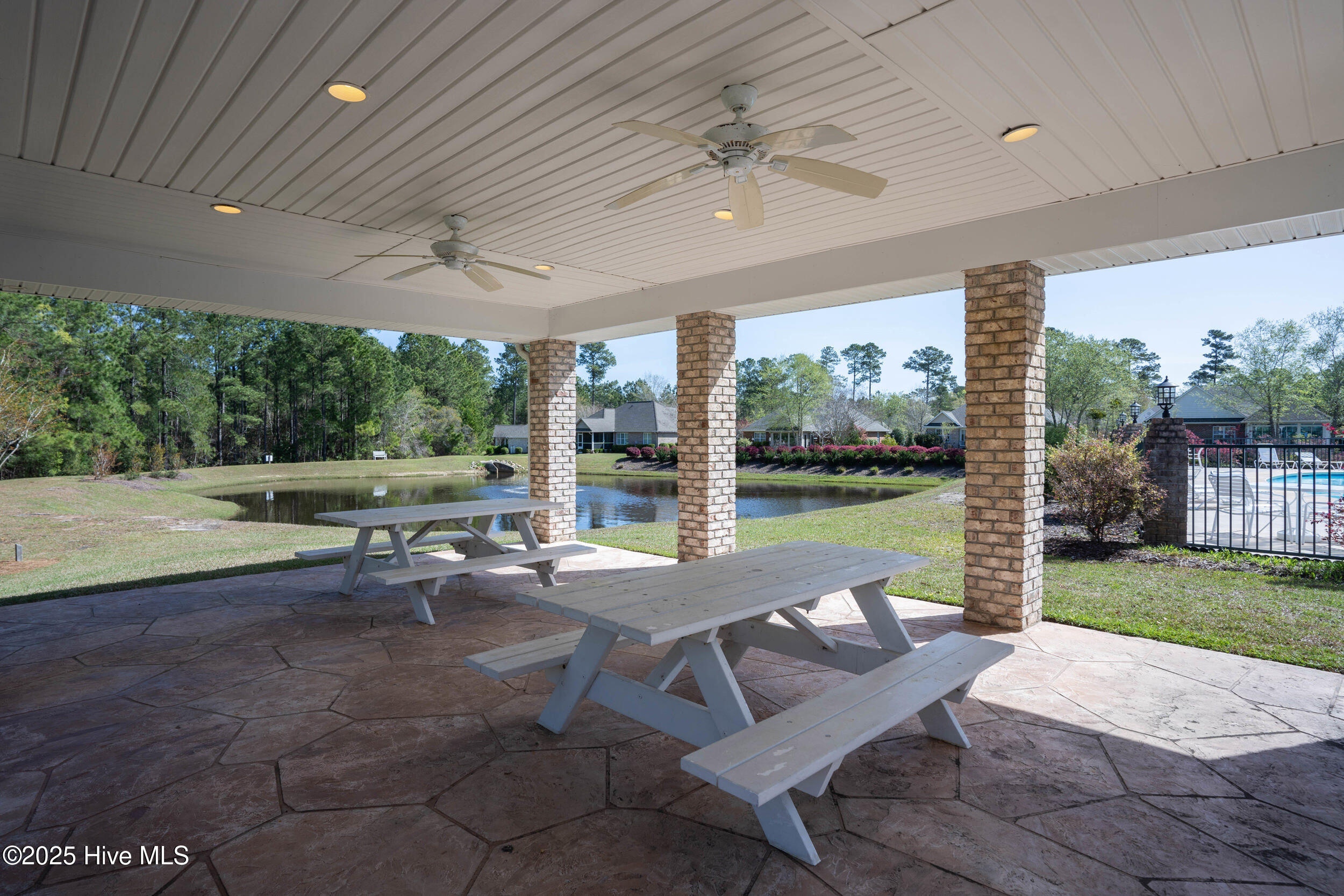 100529321 | Photo 50