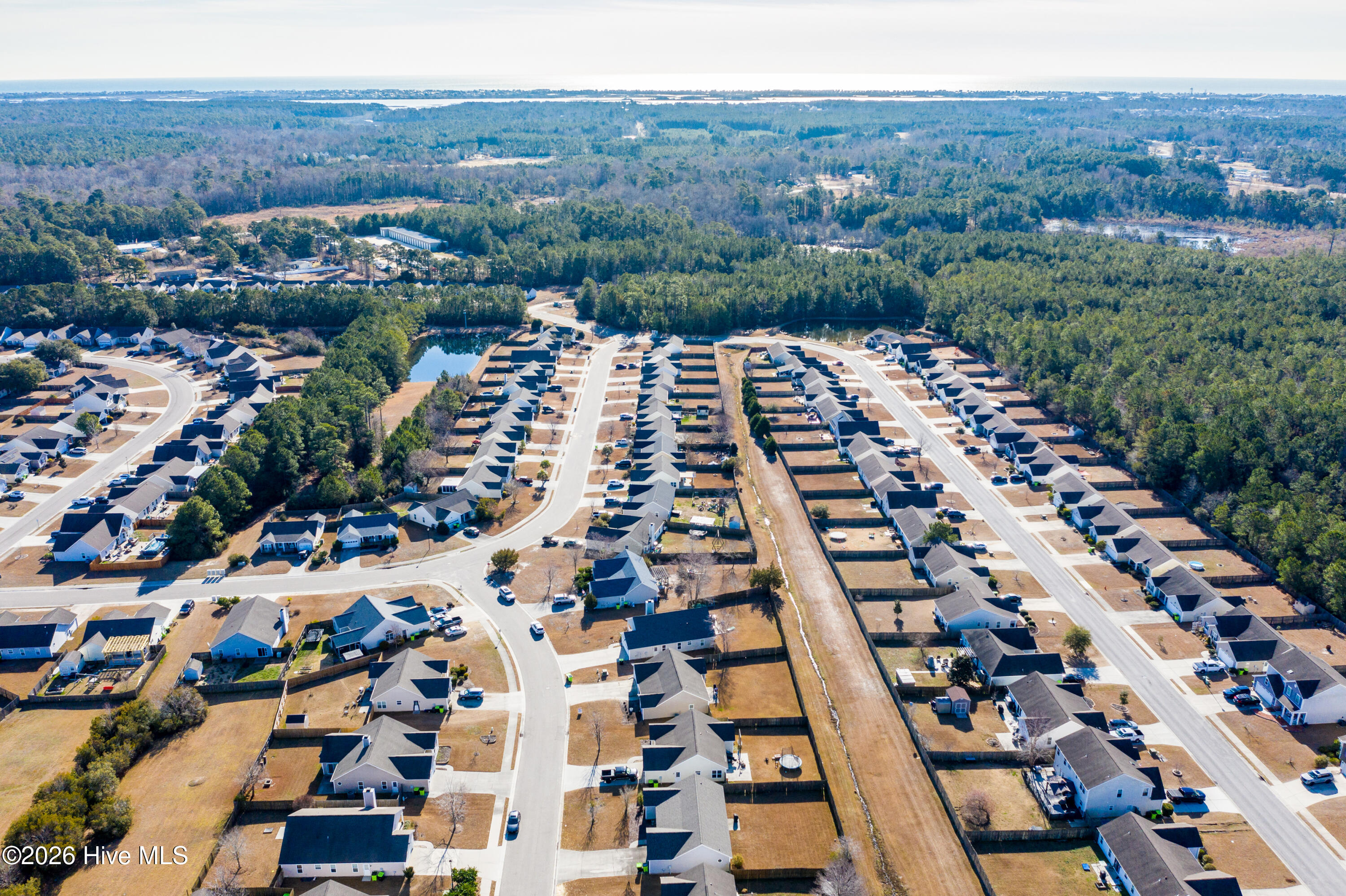 100550562 | Photo 36