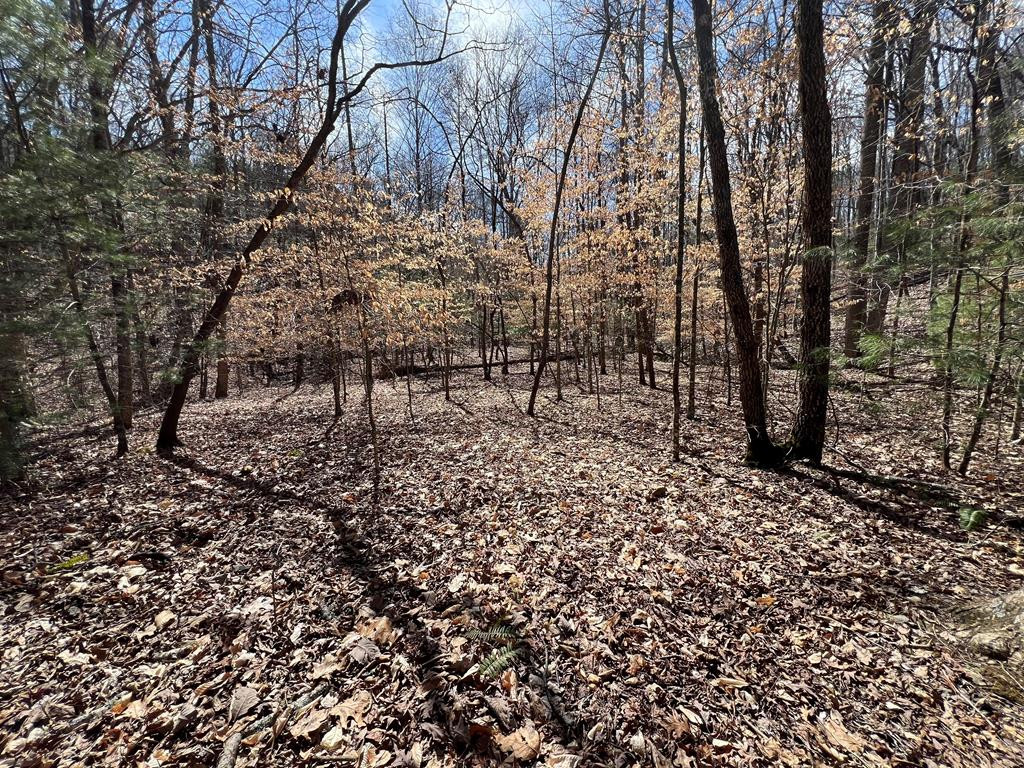 Exterior photo of Lot 164 Tracks Hollow, Murphy, NC 28906. MLS: 98524248
