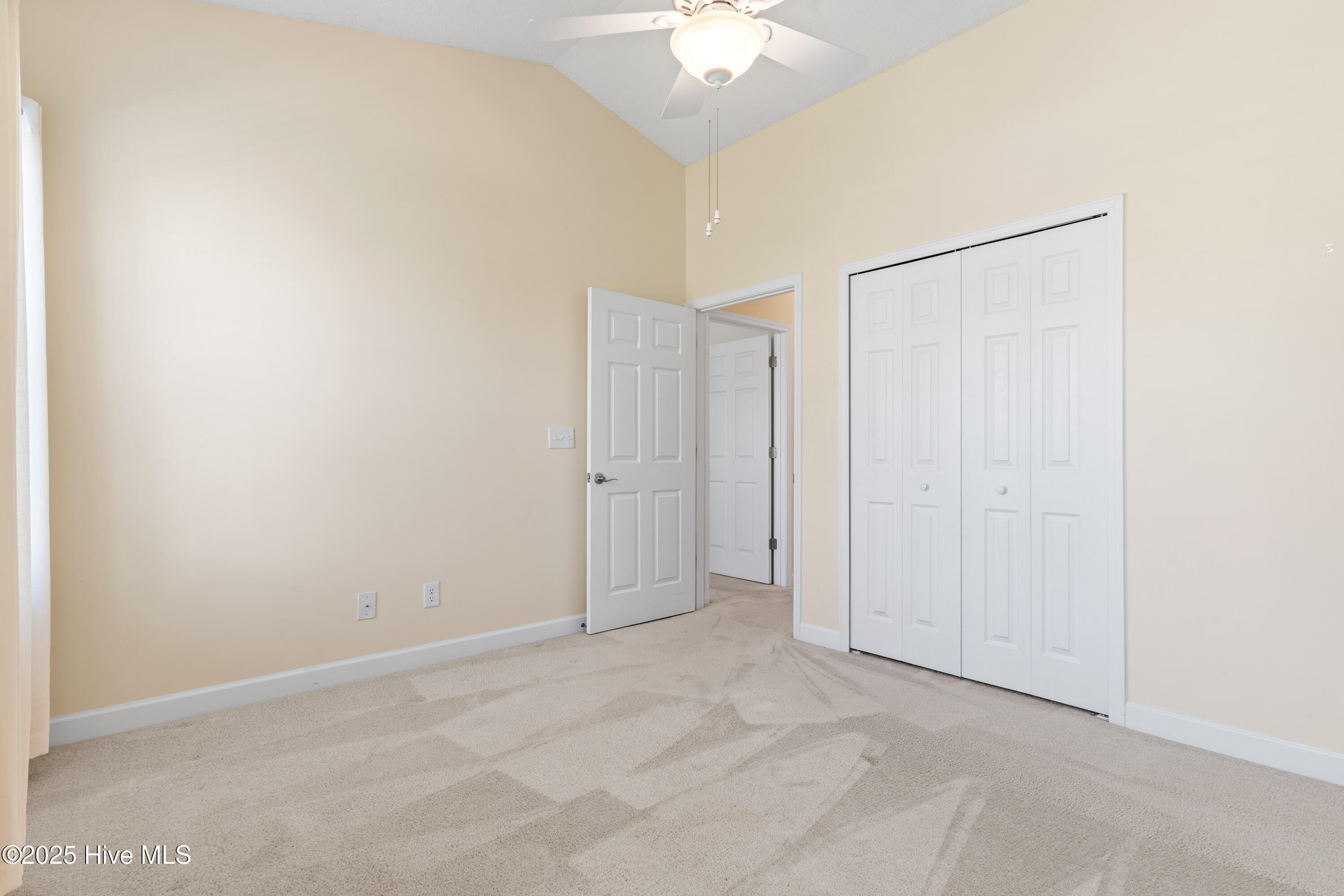 100529501 | Photo 19