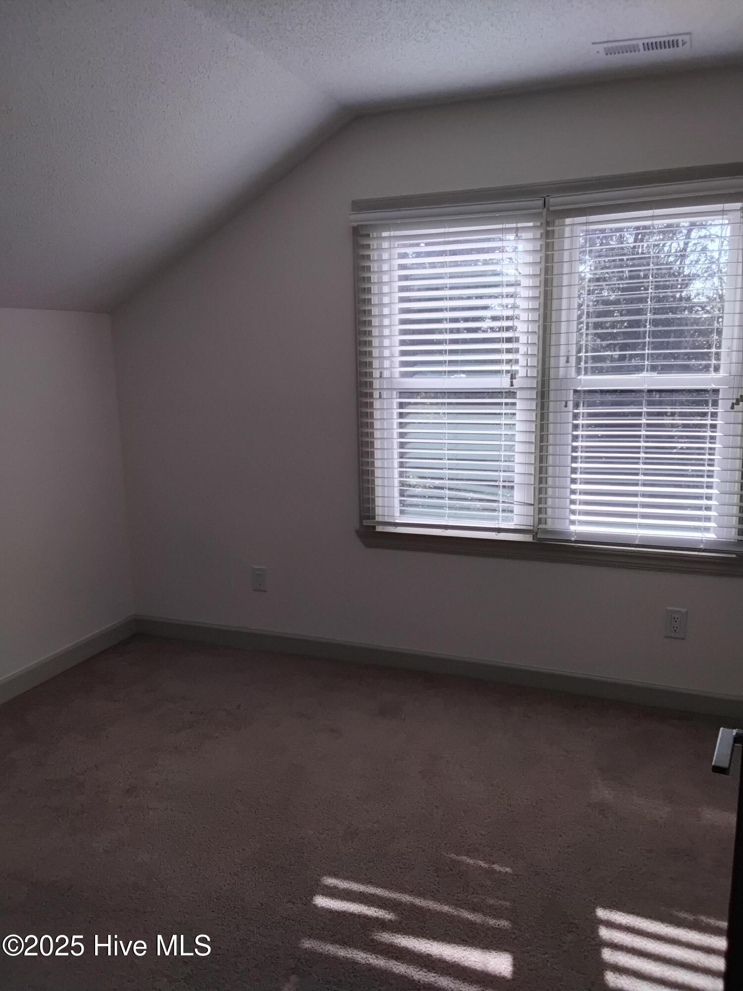 100546302 | Photo 15