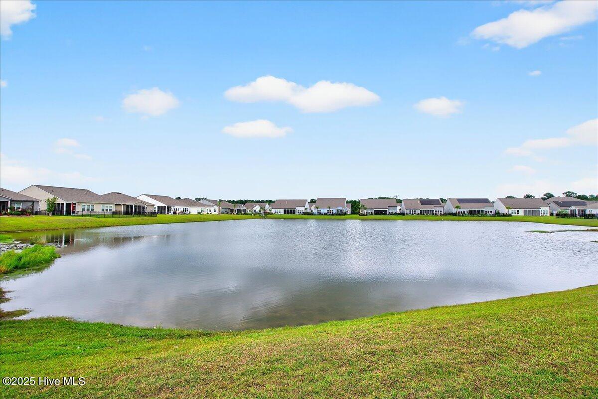 100522416 | Photo 58