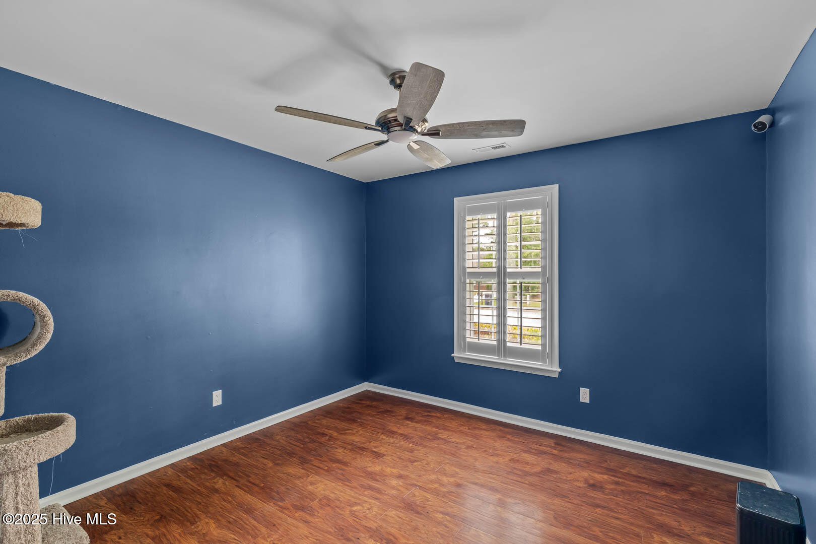 100522484 | Photo 34