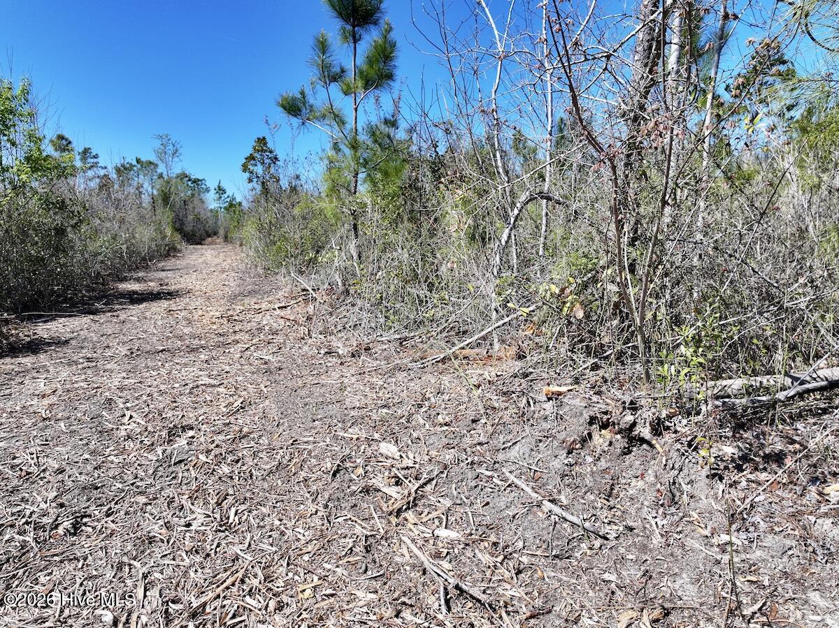 0 Guinea Mill Road, Ernul, NC, 28527