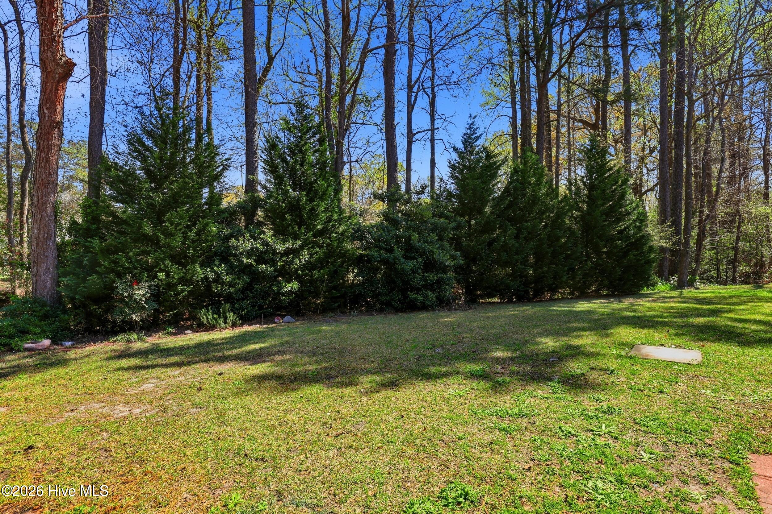 100561758 | Photo 25