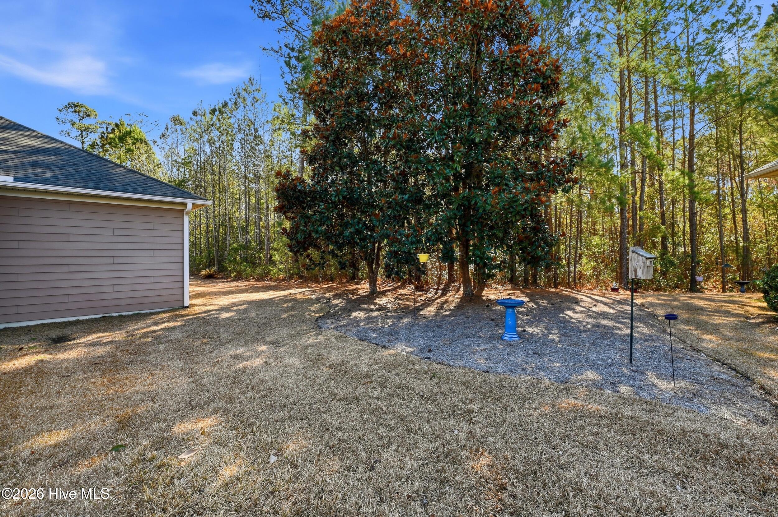 100556965 | Photo 45