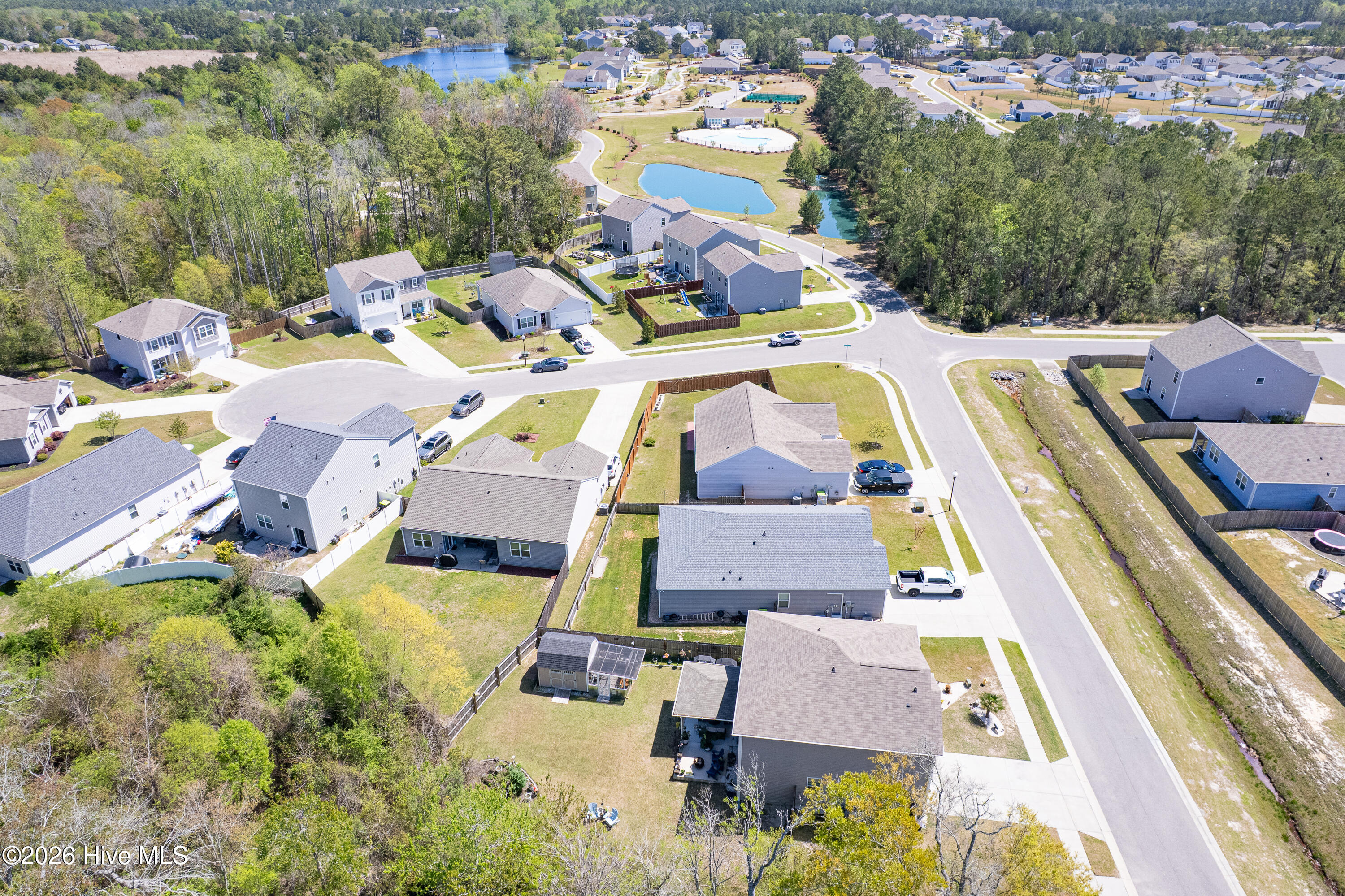 100565861 | Photo 71