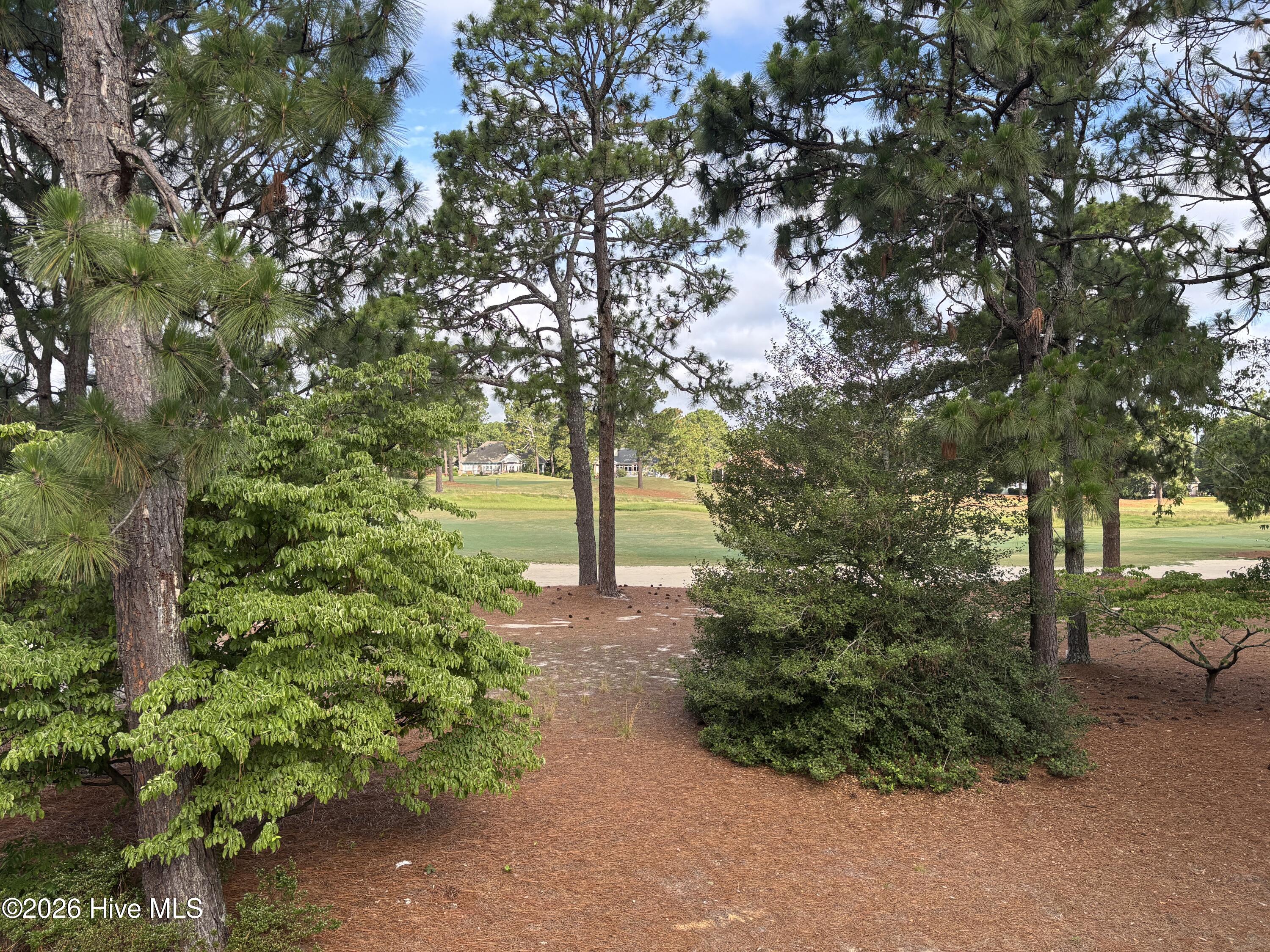 Golf course view