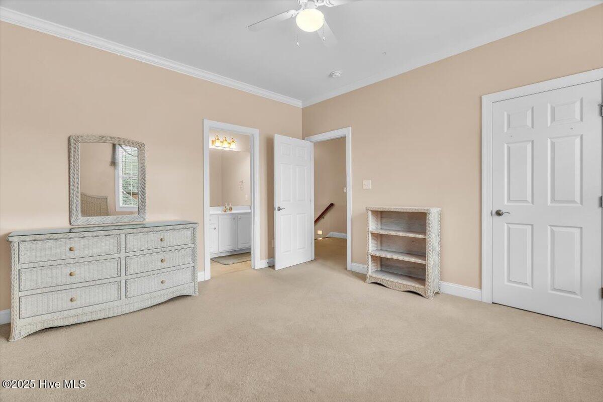 100534566 | Photo 65