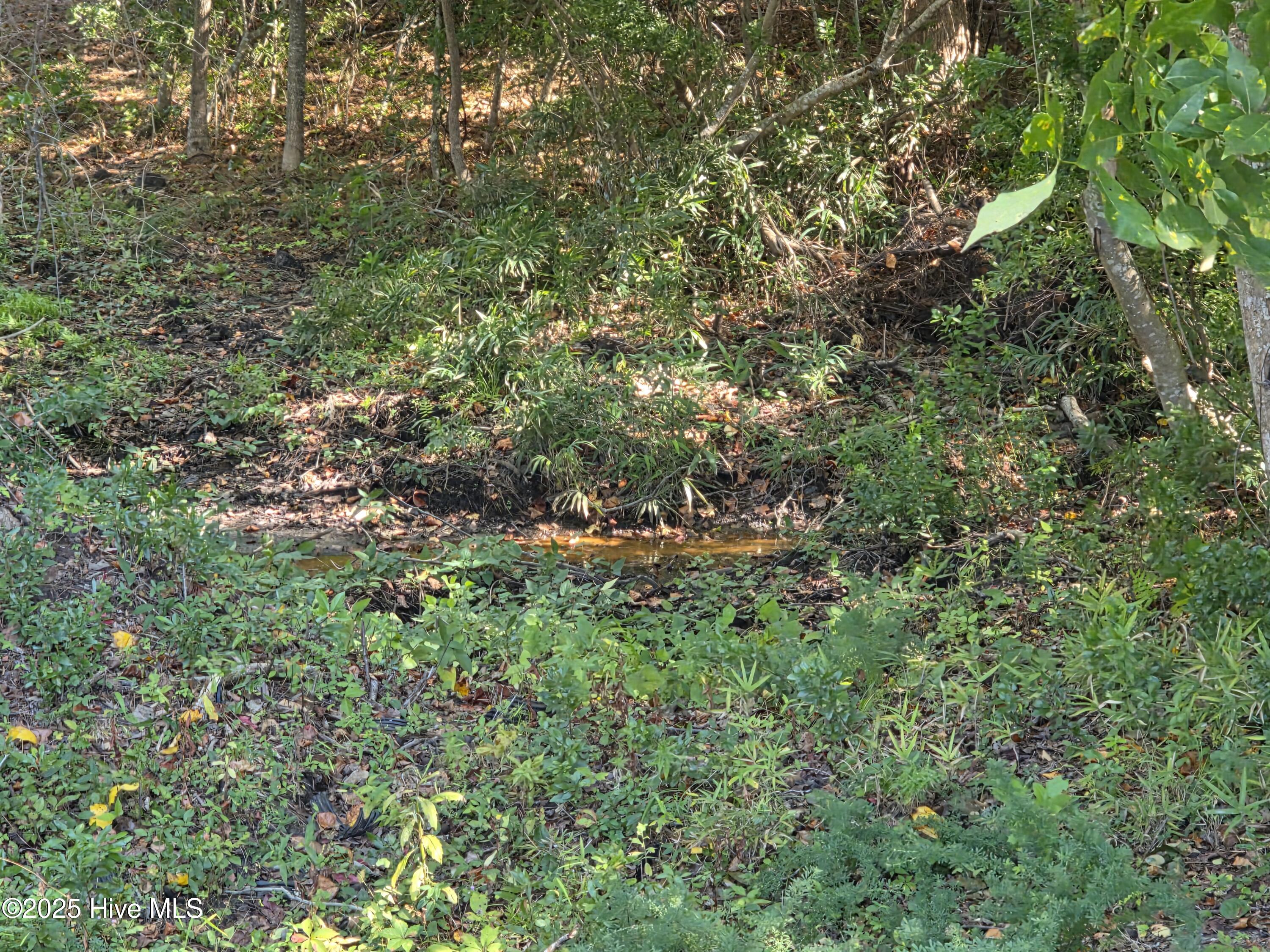 100564274 | Photo 33