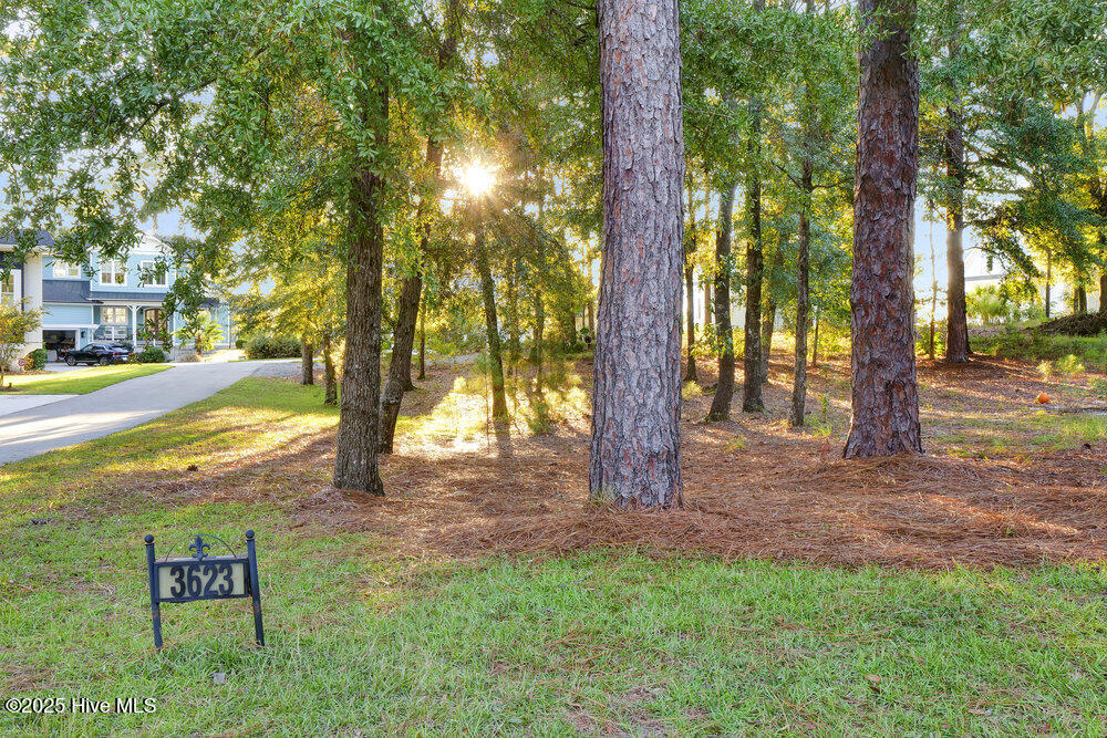 100537011 | Photo 82