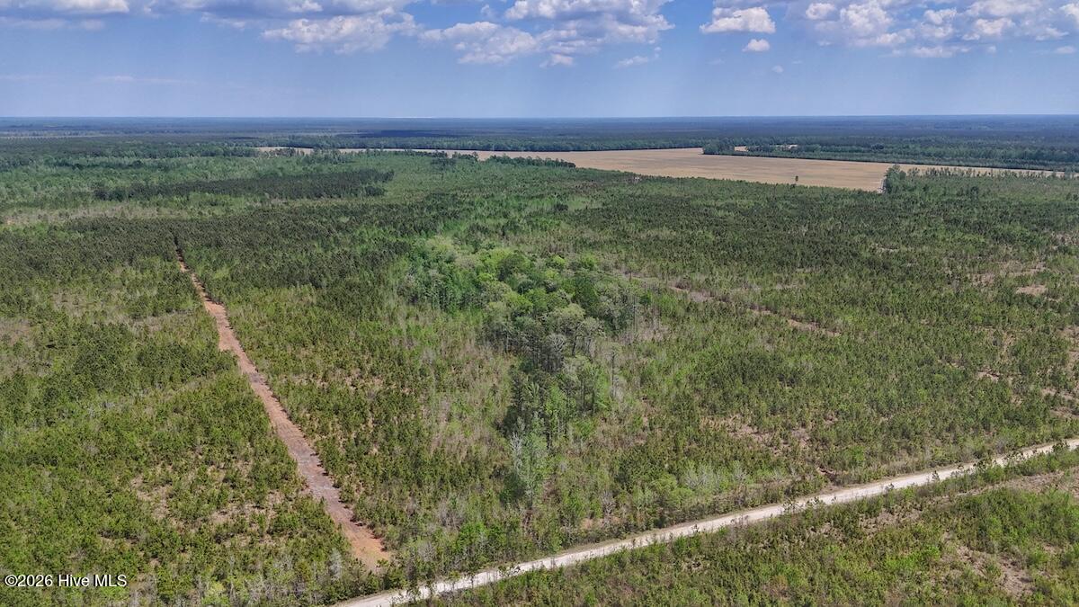 0 Guinea Mill Road, Ernul, NC, 28527