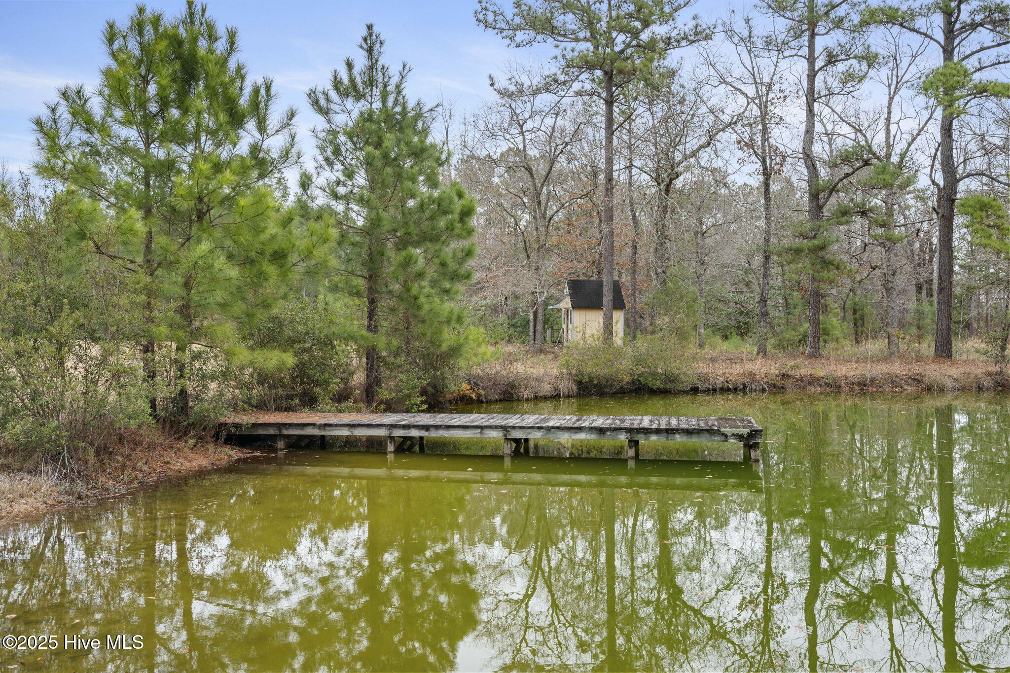 100546888 | Photo 29