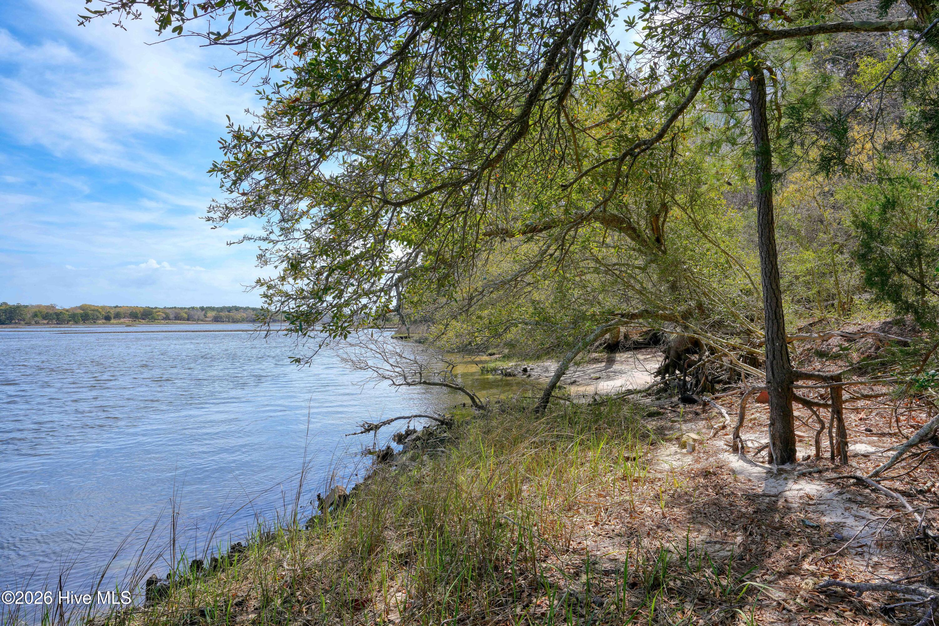 100564032 | Photo 16