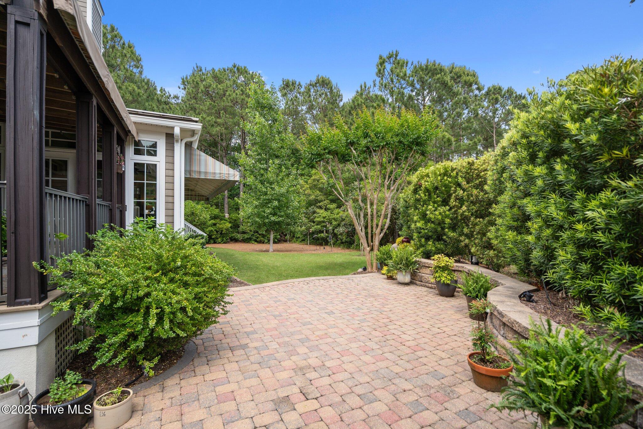 100565962 | Photo 73