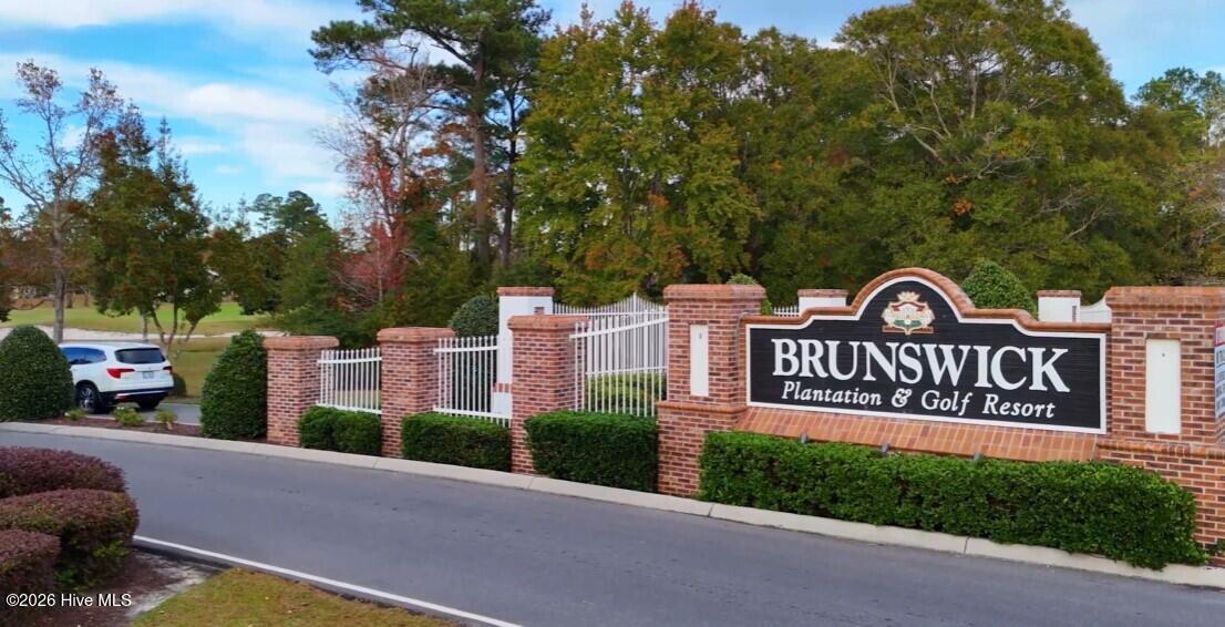 100554757 | Photo 11