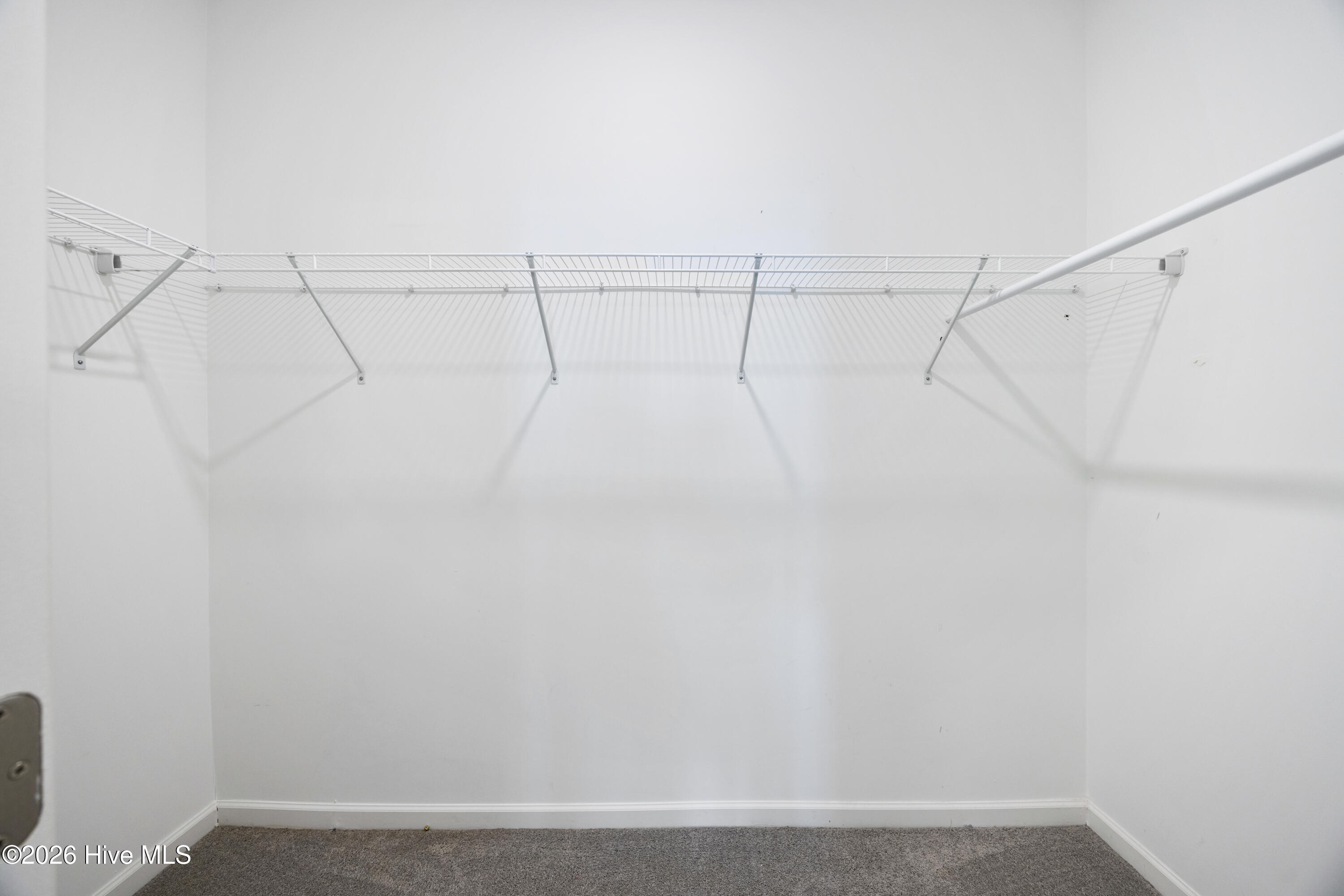 100584563 | Photo 28