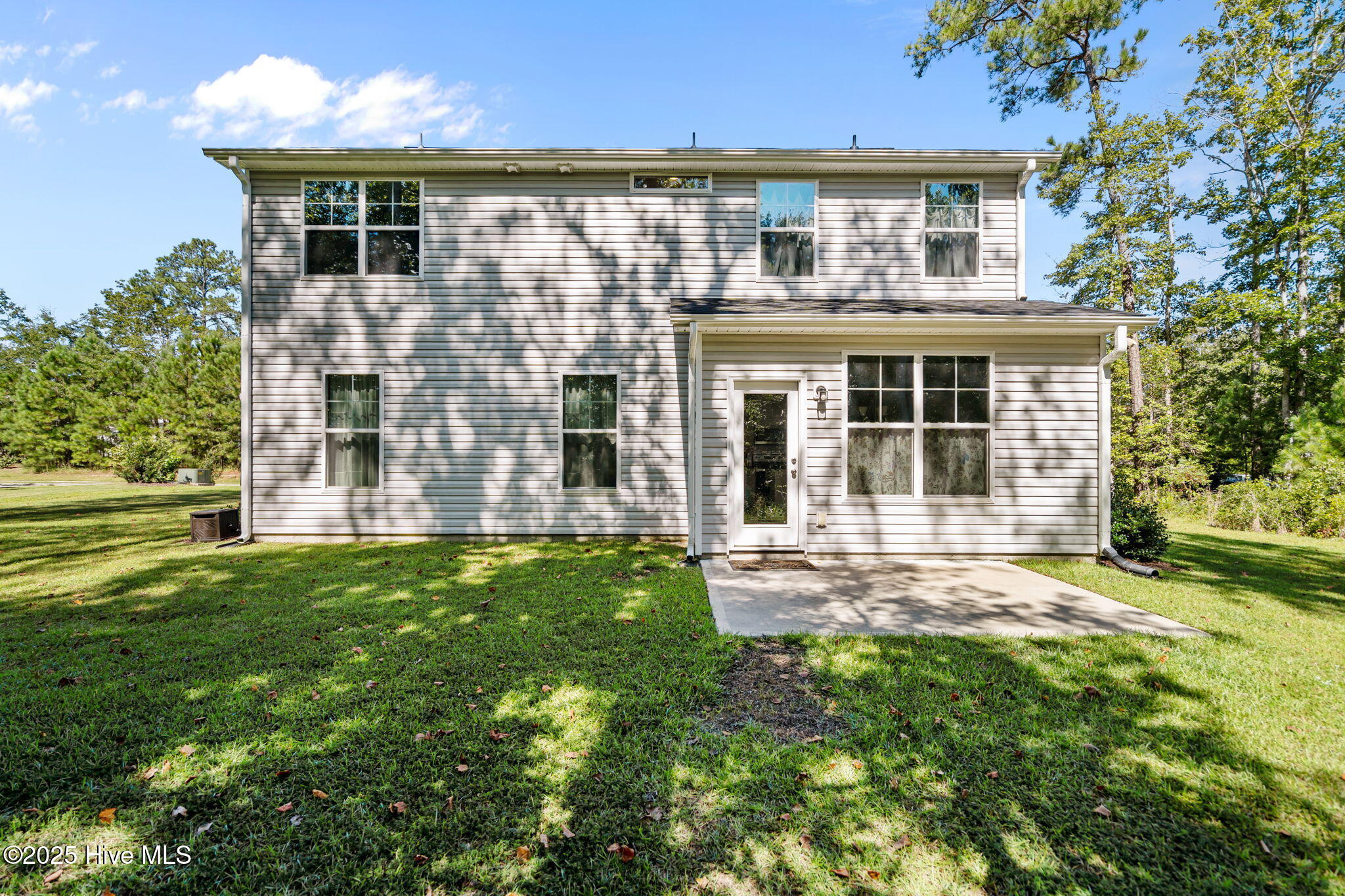 100528737 | Photo 45