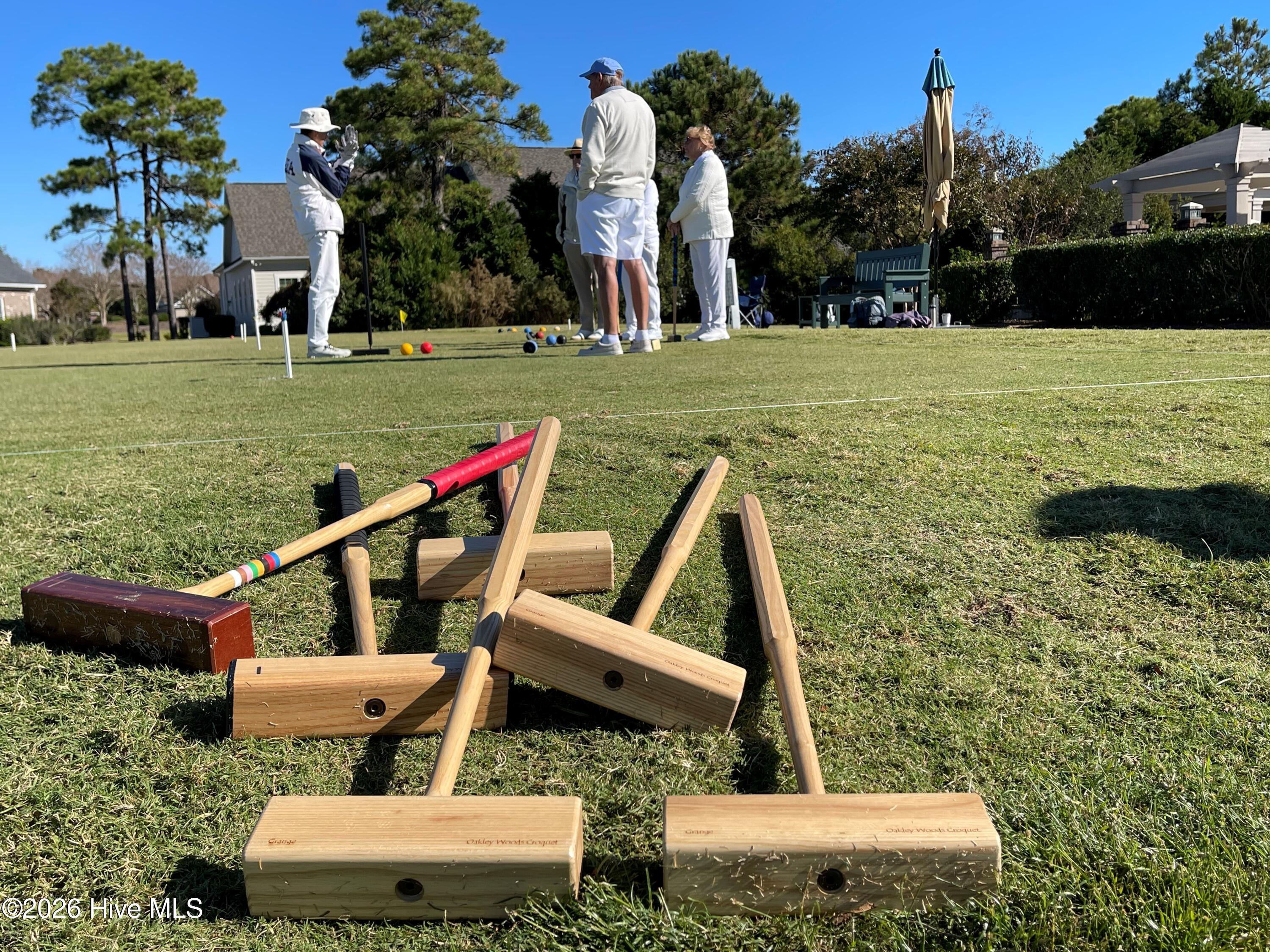 100555931 | Photo 50