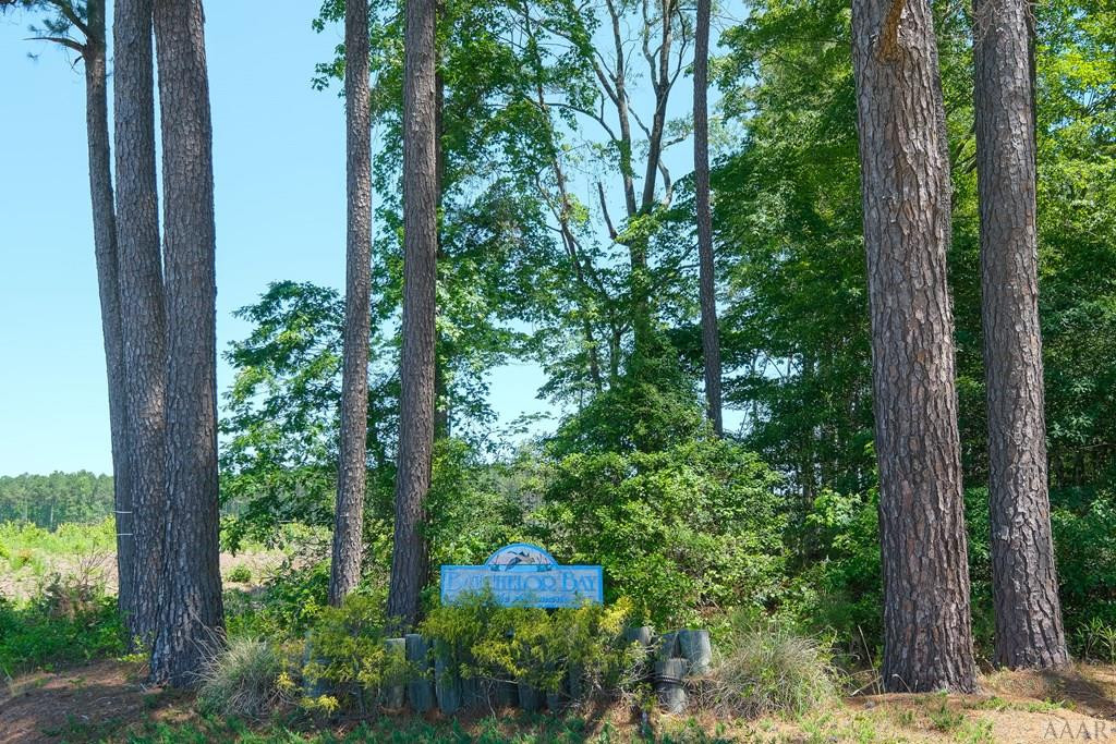 506 Batchelor Bay Drive, Windsor, NC, 27983