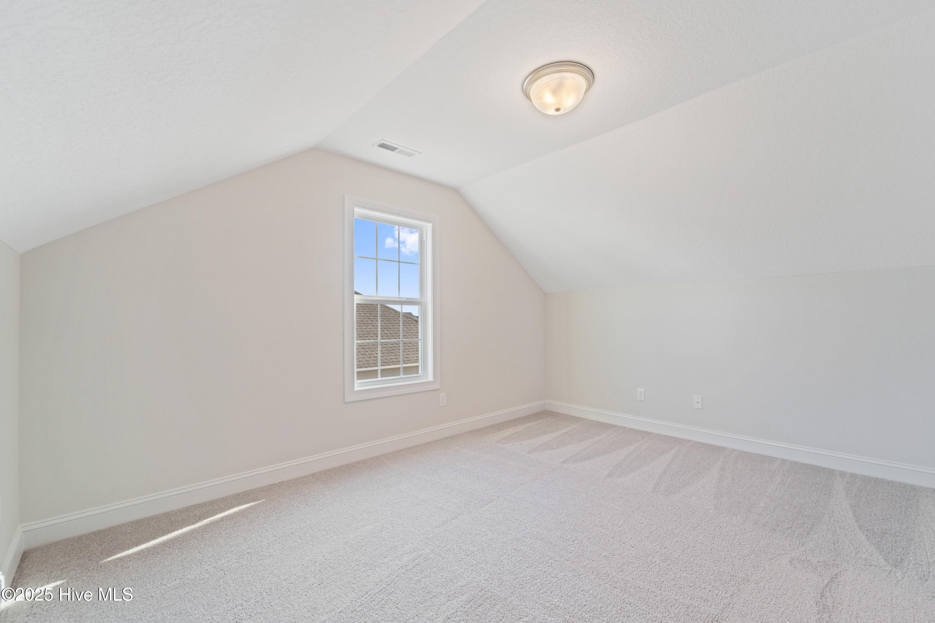 100519701 | Photo 25