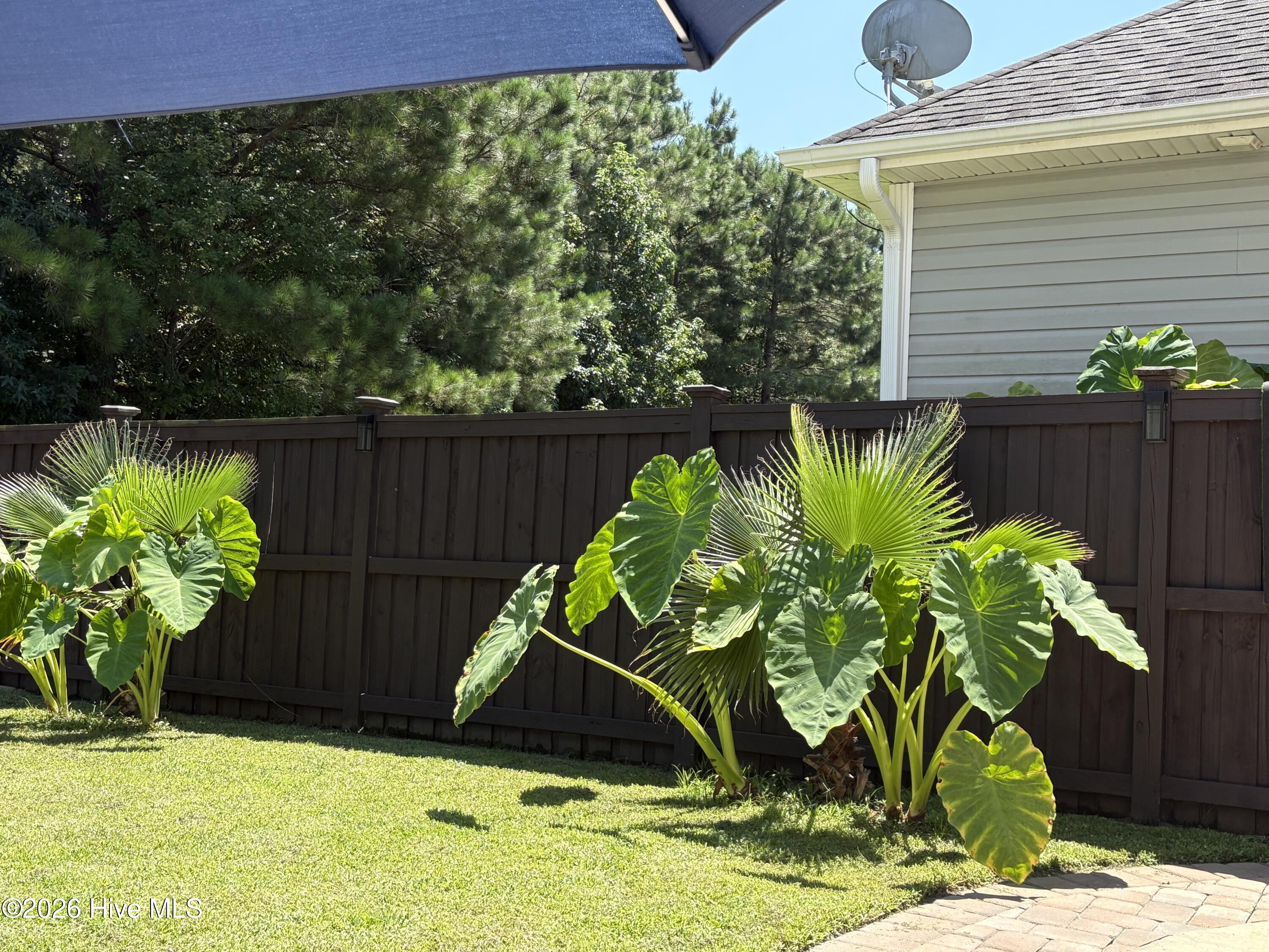 100565738 | Photo 43