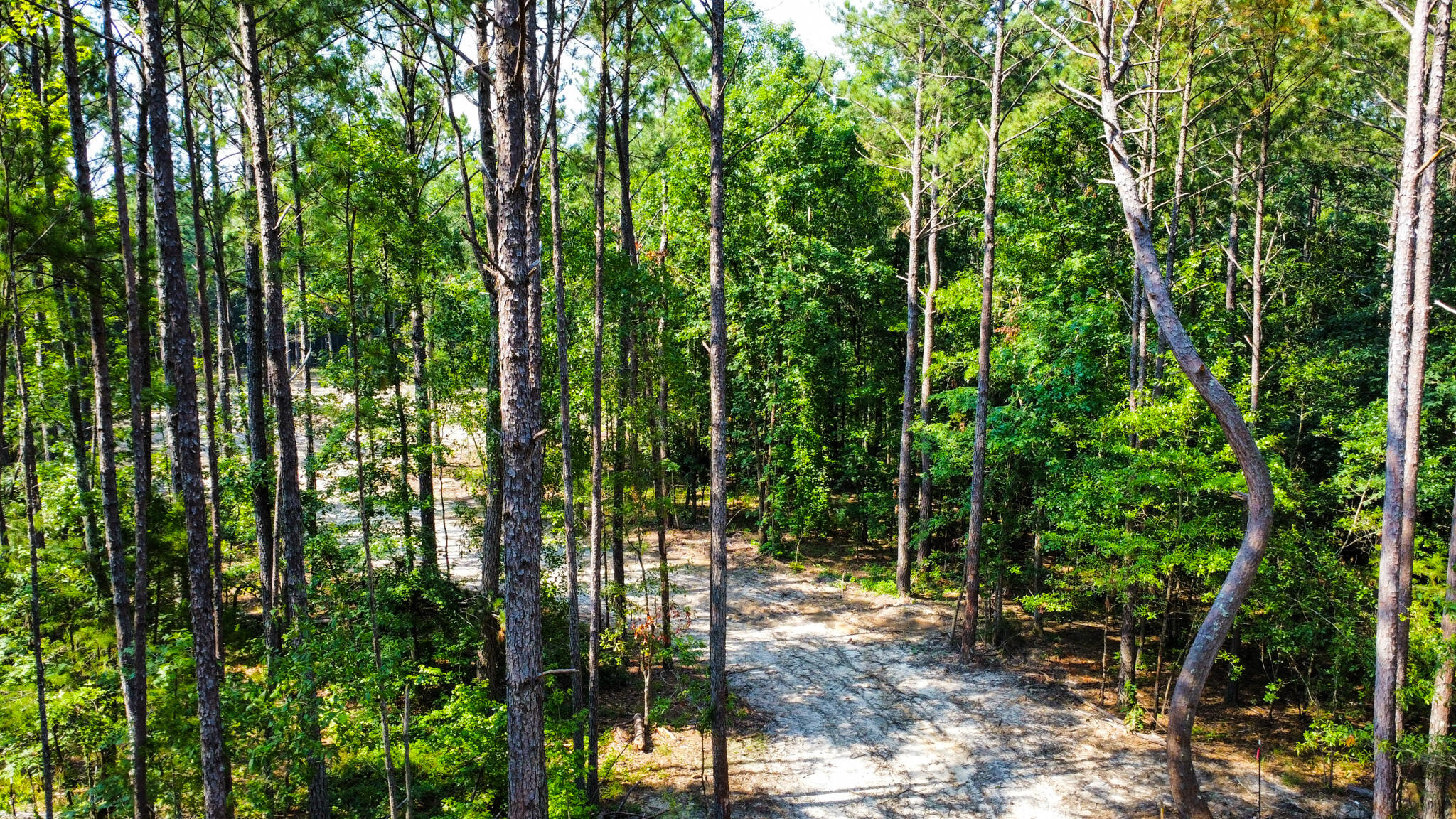 0 Backway Road, Lincolnton, GA, 30817