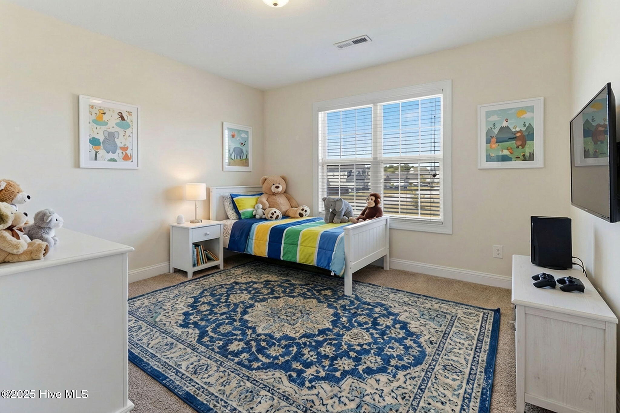 100528523 | Photo 25