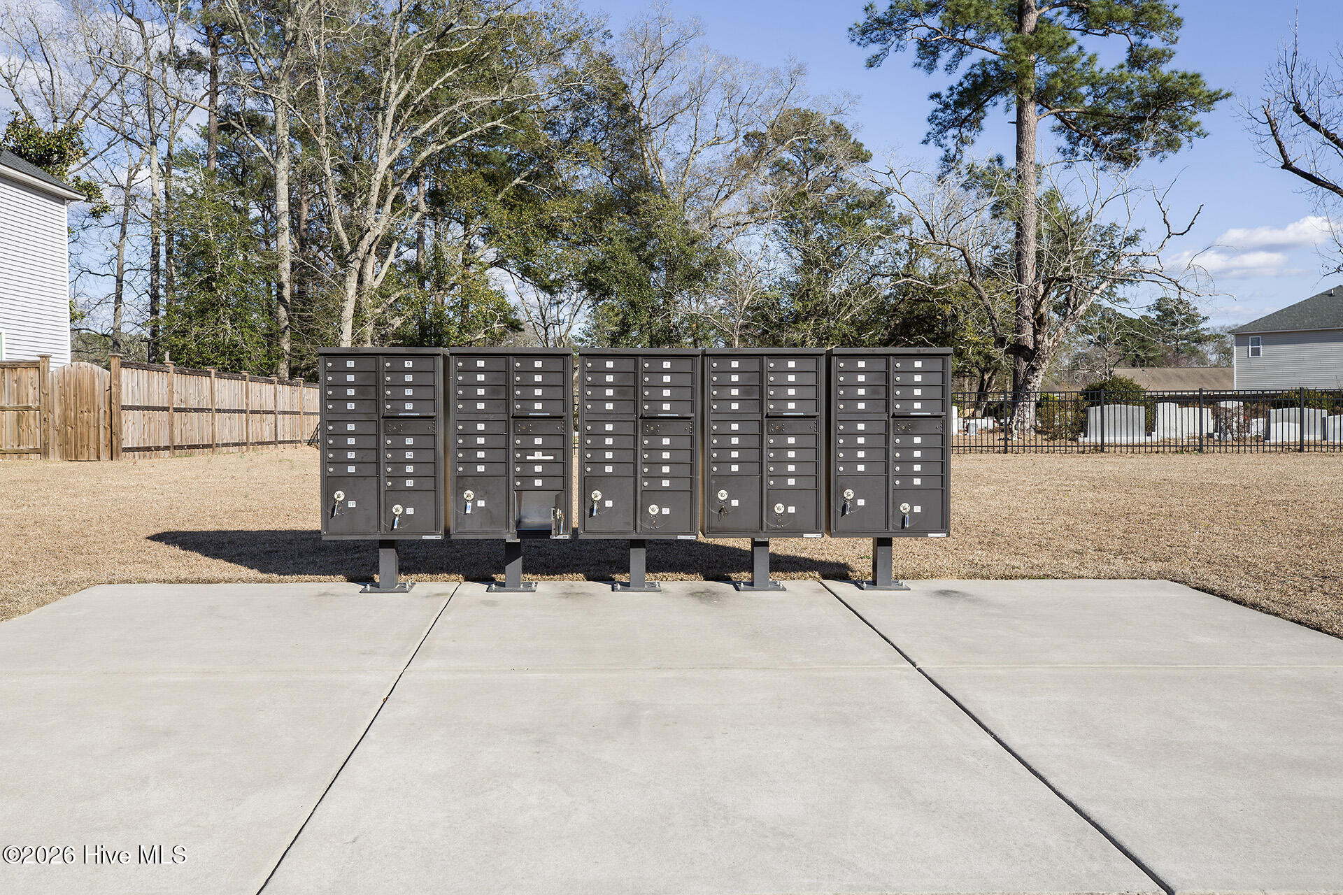 100557607 | Photo 37