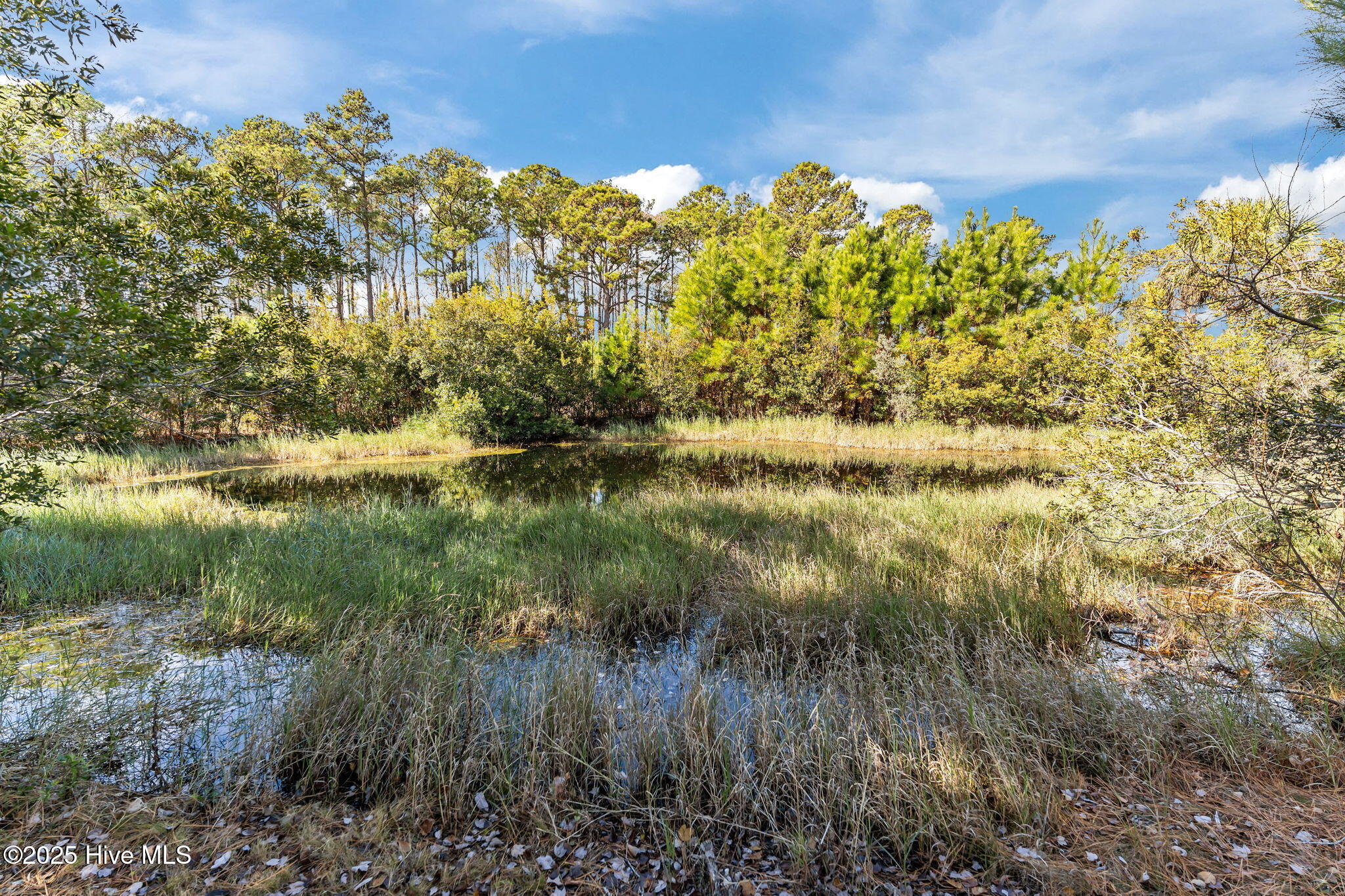 100545533 | Photo 39