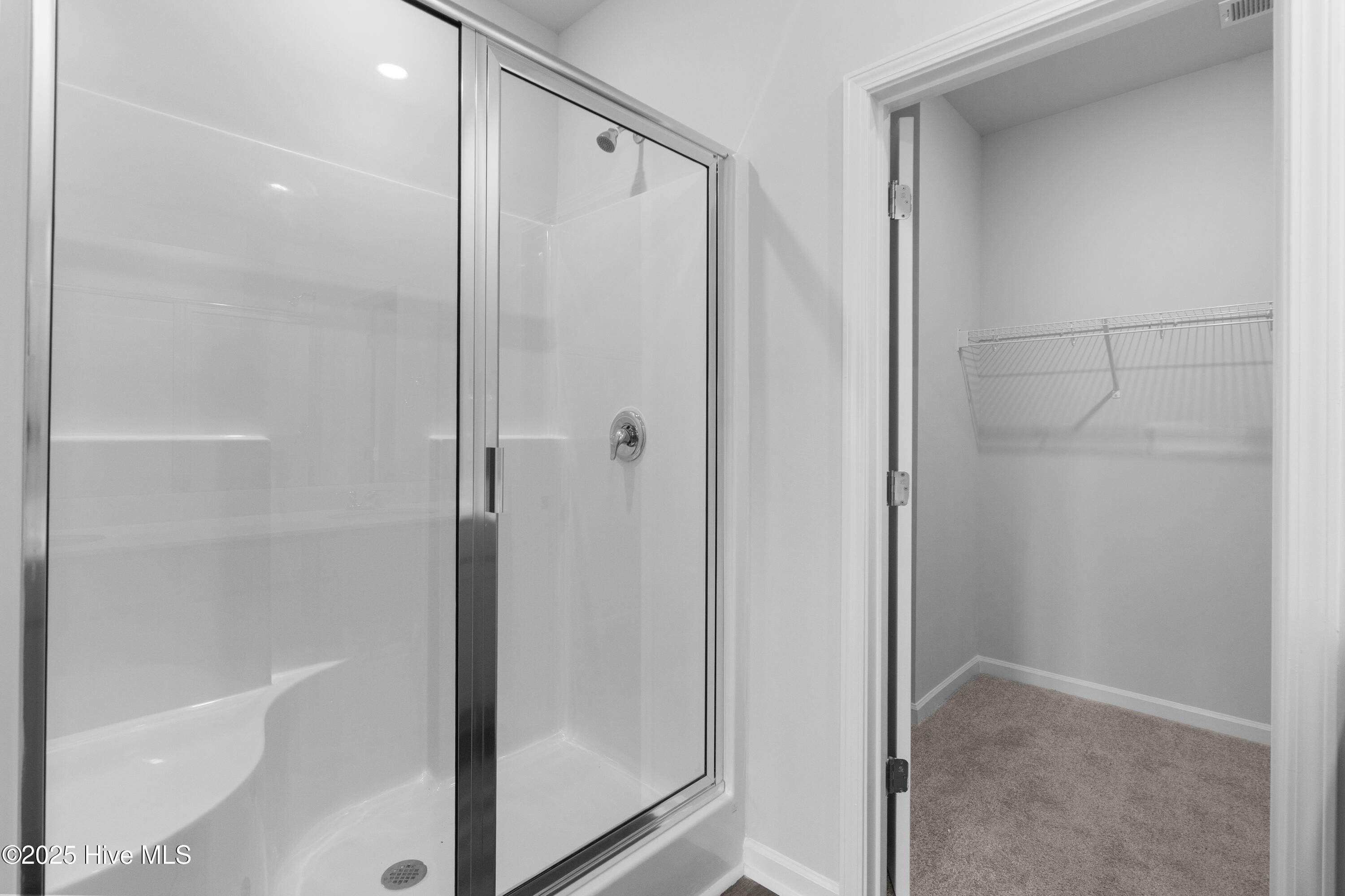 100510823 | Photo 18