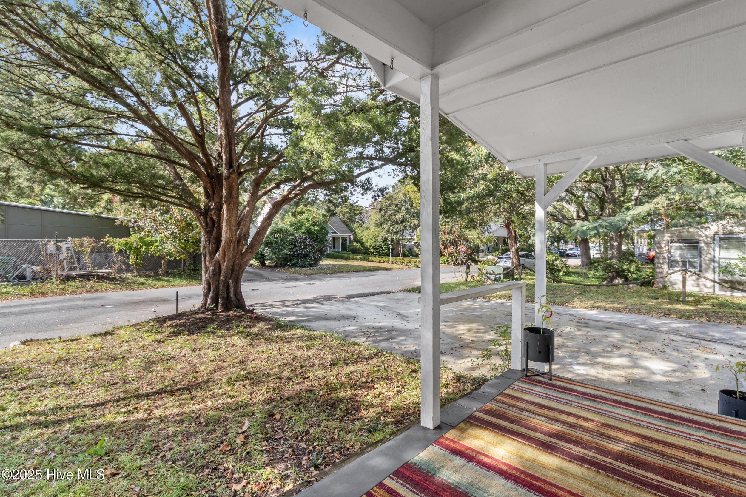 100520819 | Photo 22