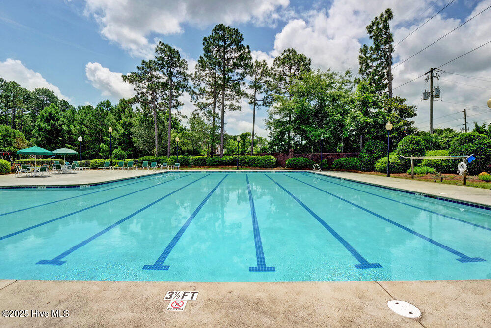 100531667 | Photo 81