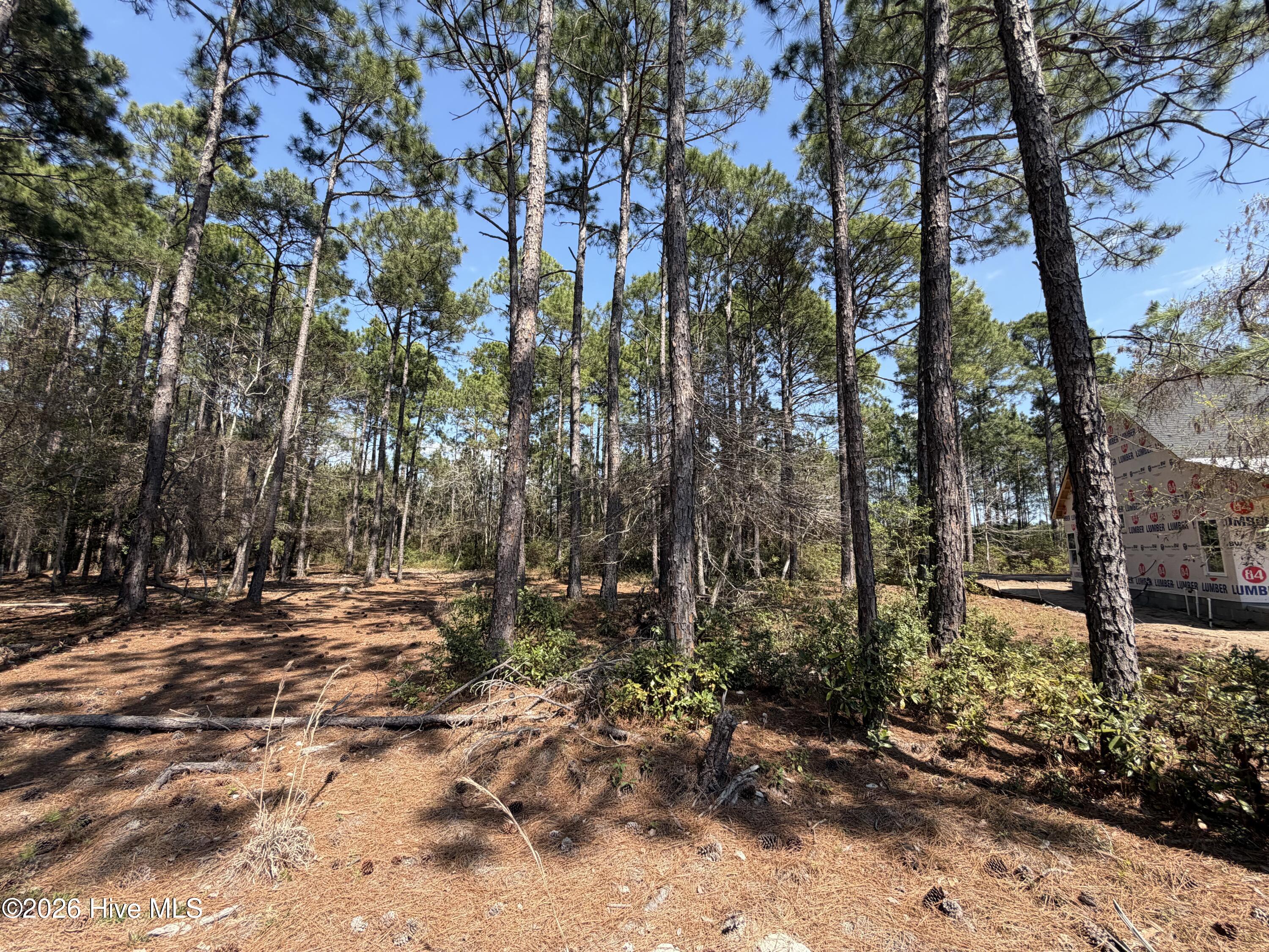 6786 Holton Place, Ocean Isle Beach, NC, 28469