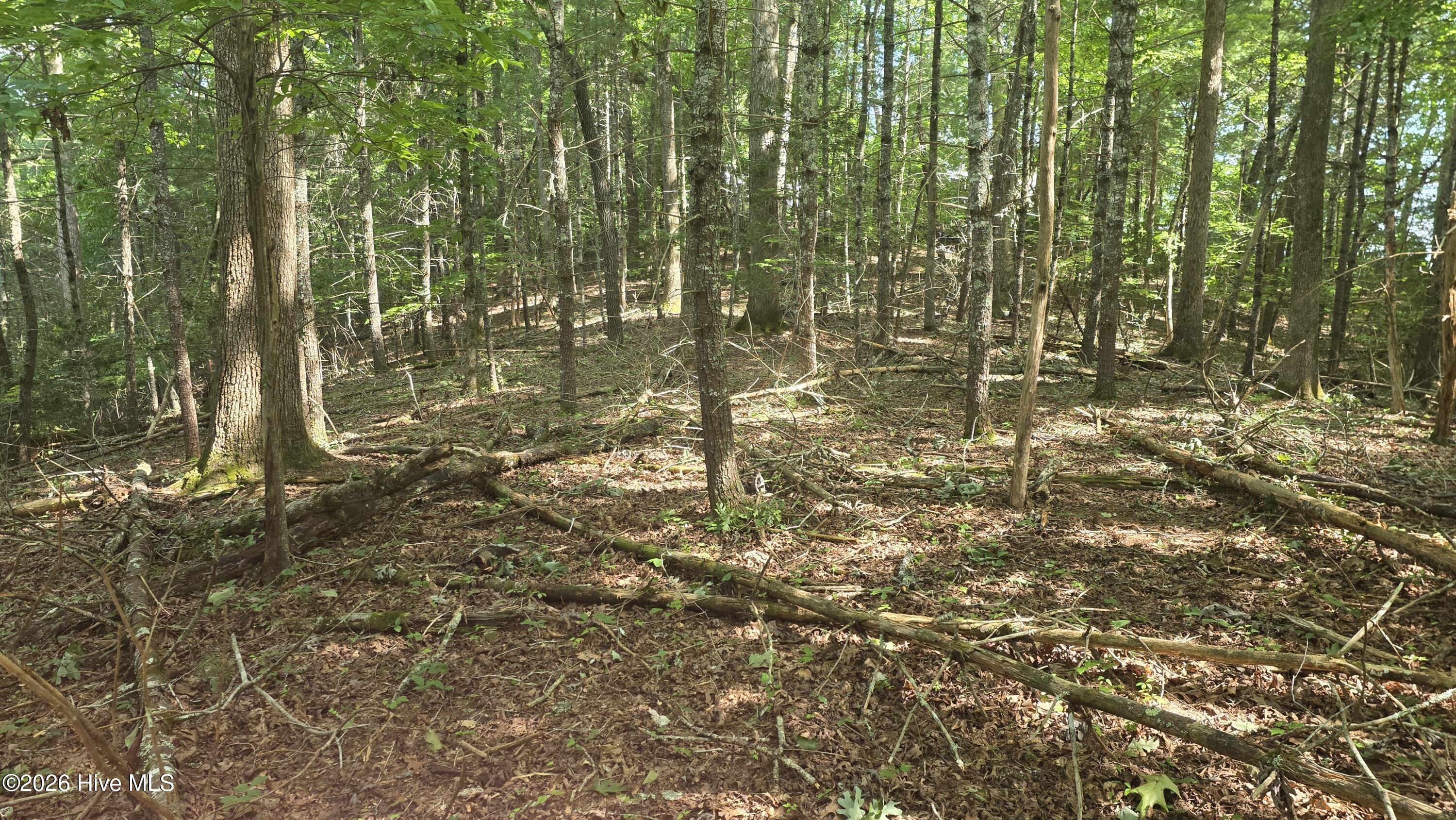 28th image of Lot 9 Peachtree Hills Ln, Murphy, NC 28906 | MLS# 100597899
