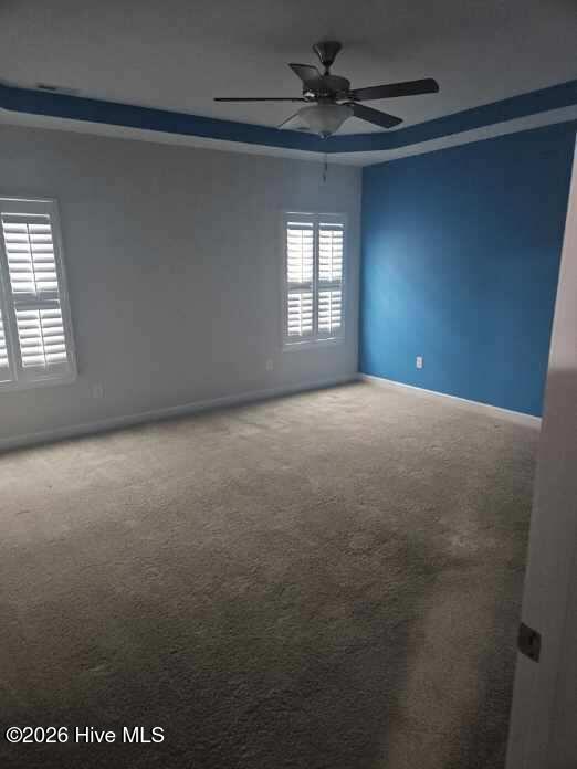 100563283 | Photo 32