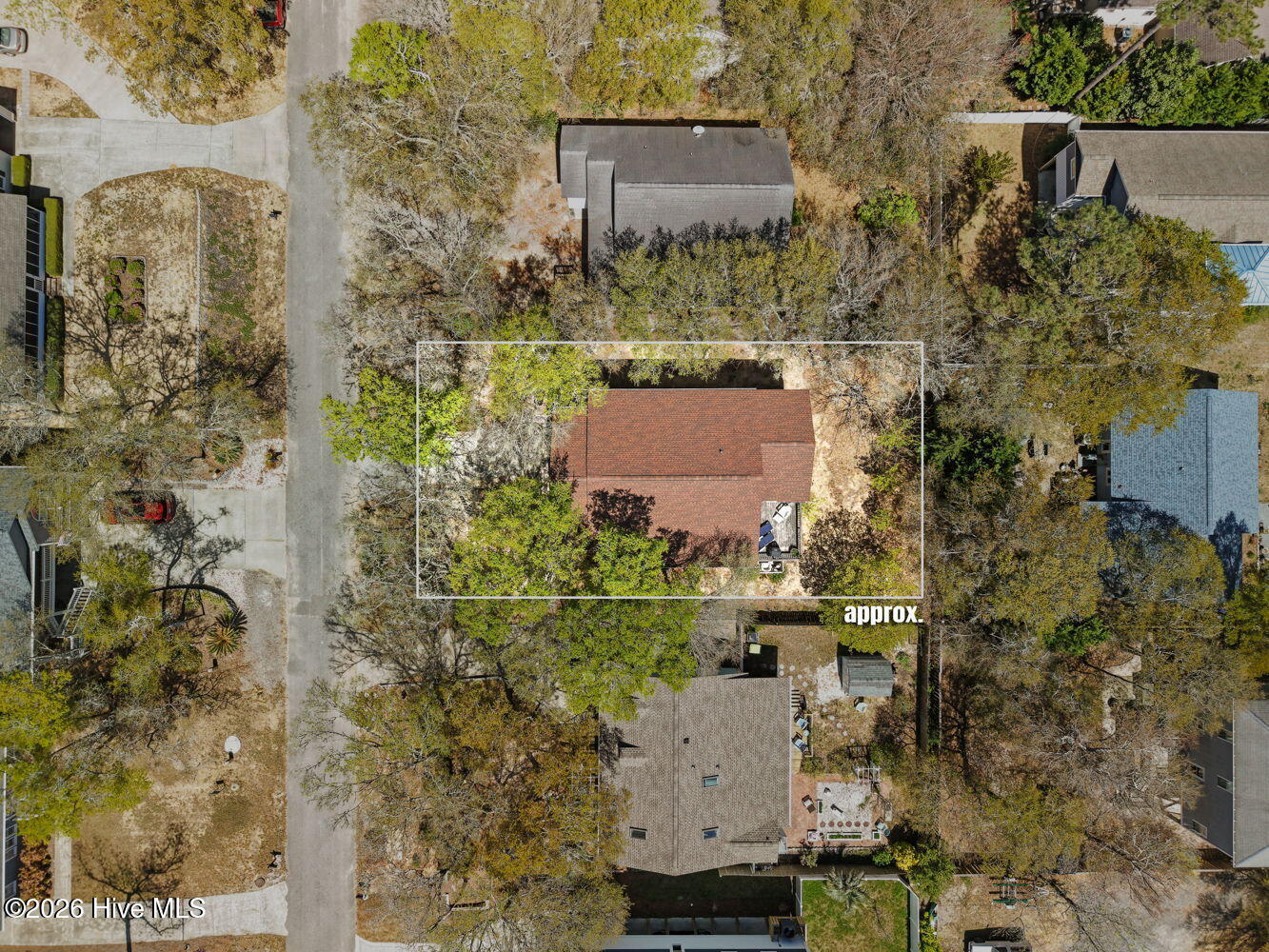 100565093 | Photo 28