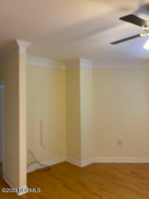 100533278 | Photo 11