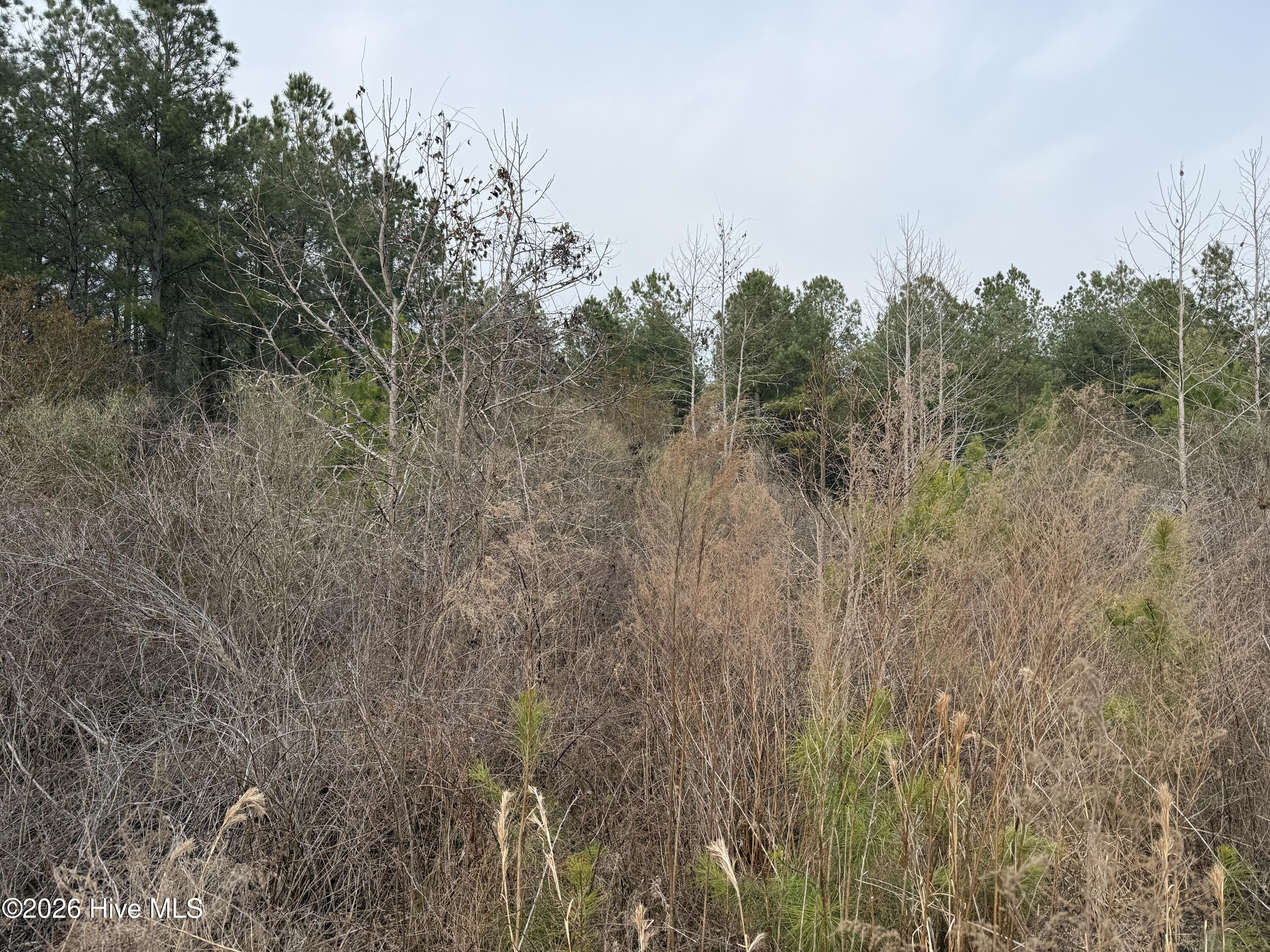 Homes for sale in Aurora, NC | 0 Tuten Rd, Aurora, NC 27806 | MLS# 100556942