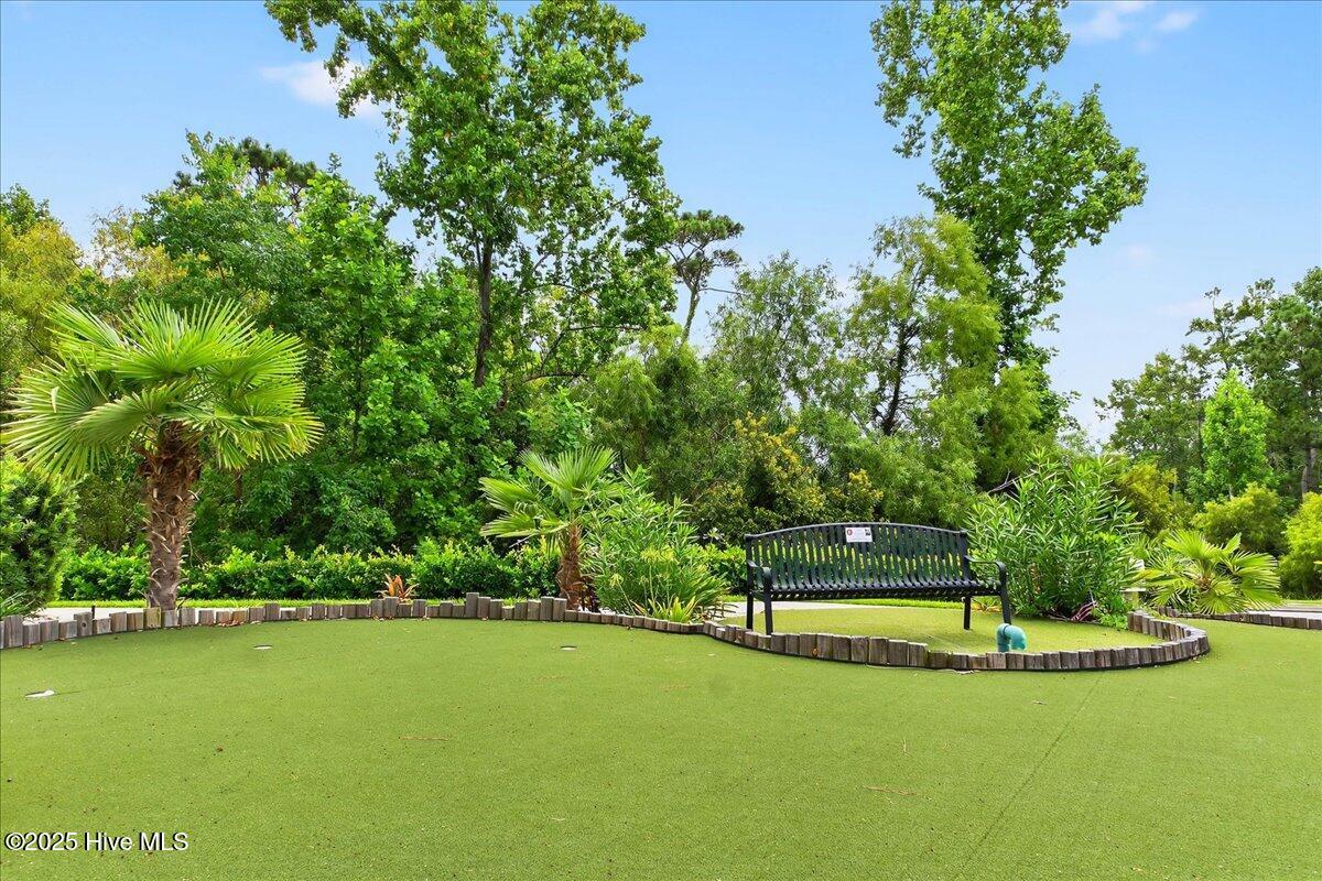 100524378 | Photo 78