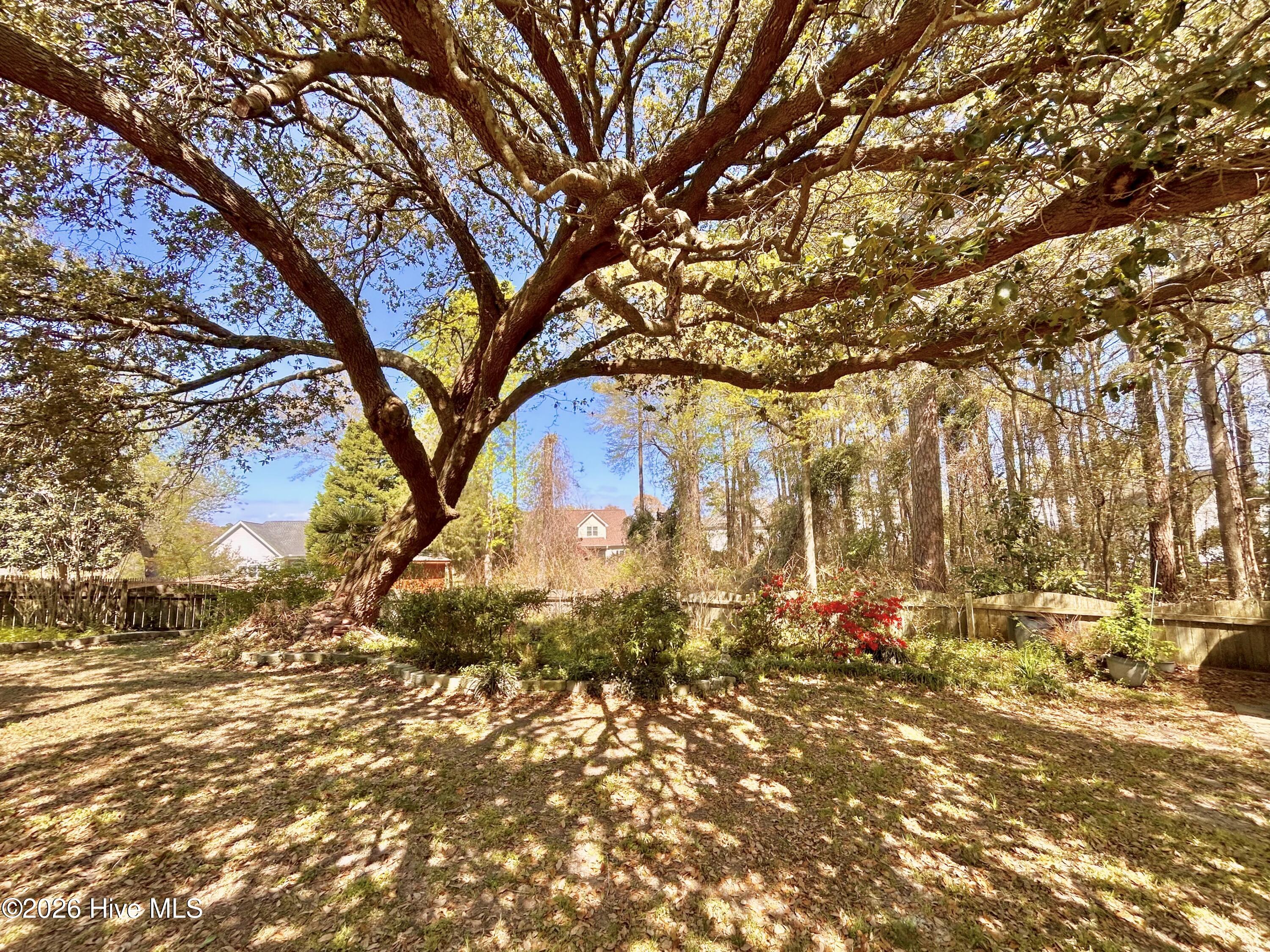 100564341 | Photo 51